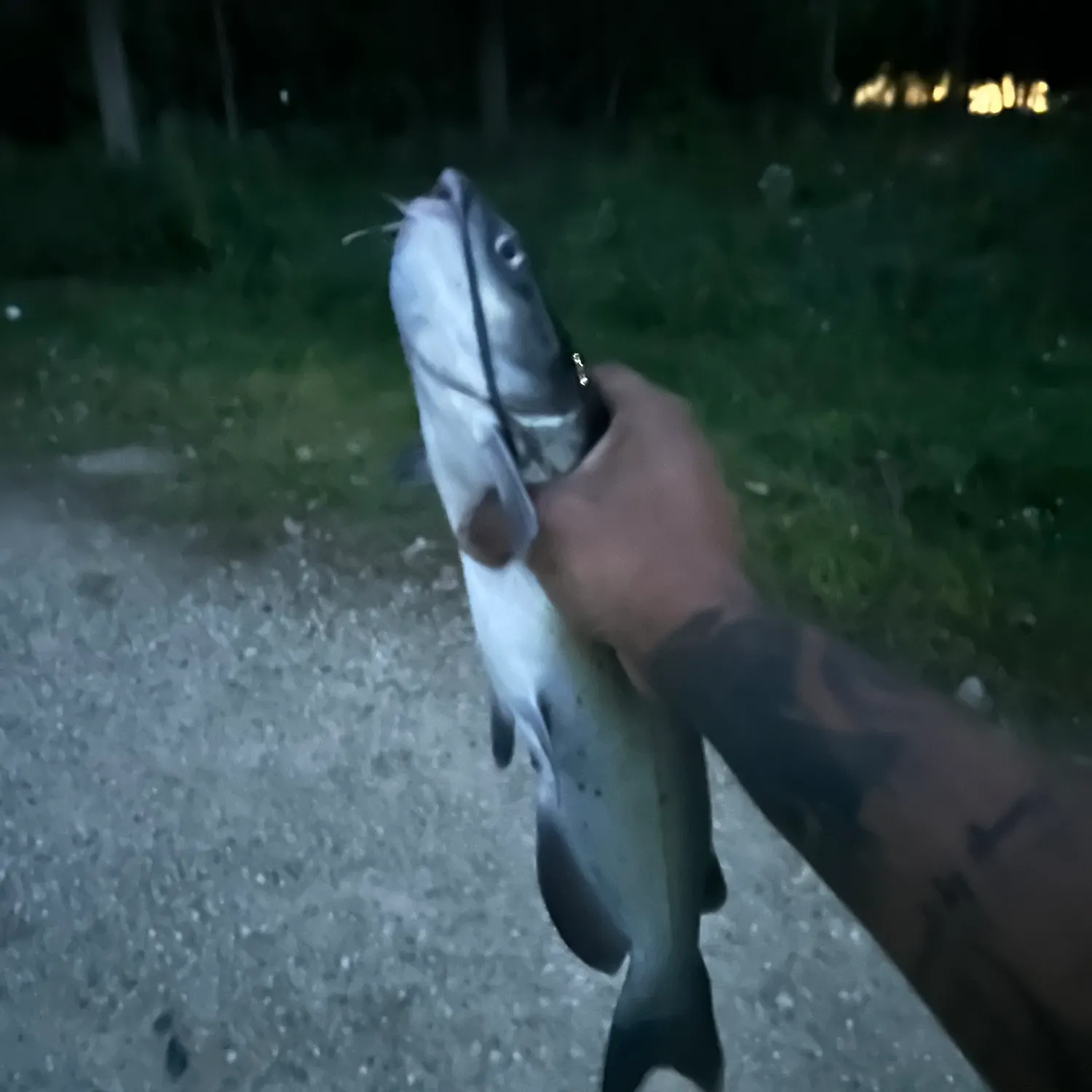 catch