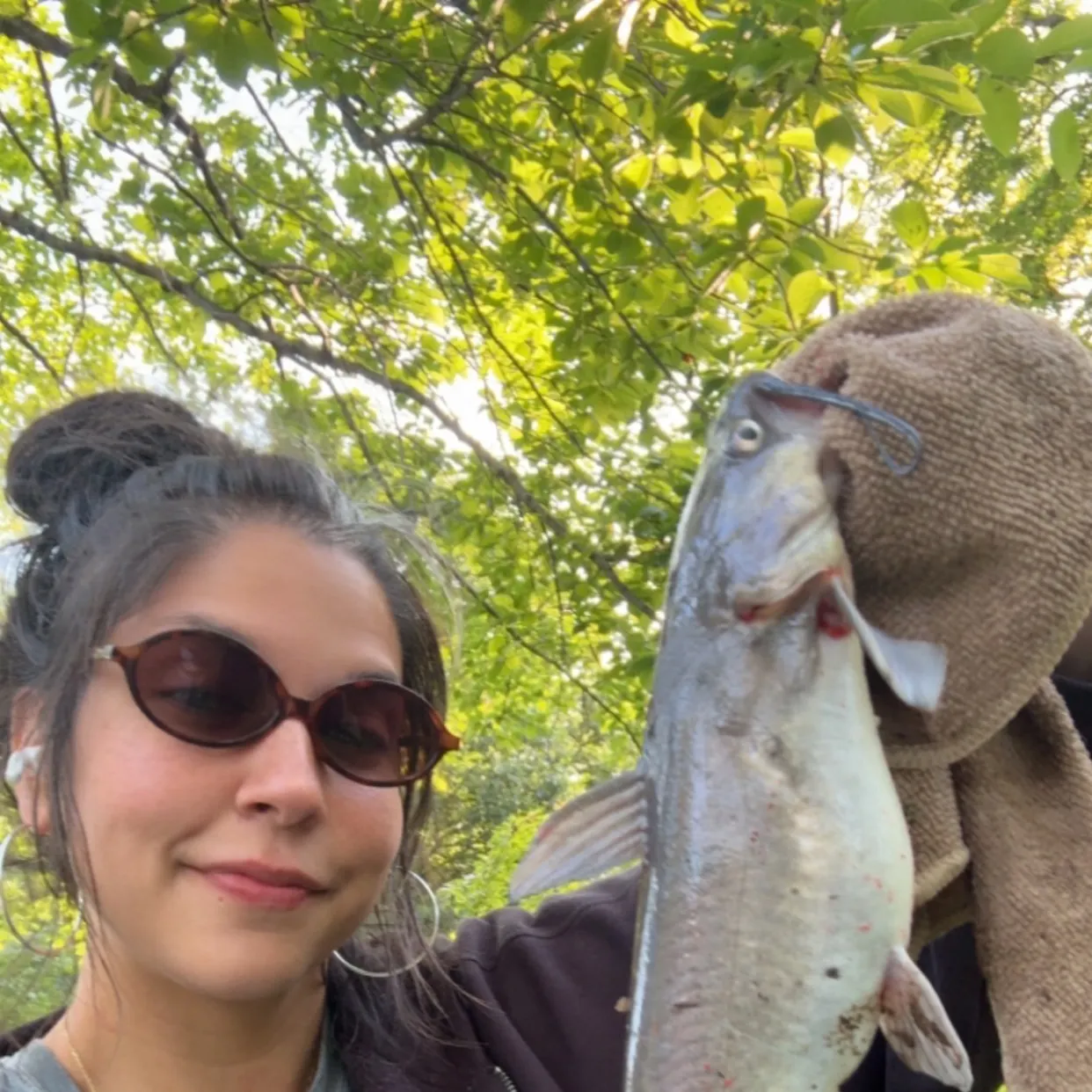 The most recent Channel catfish catches on Fishbrain