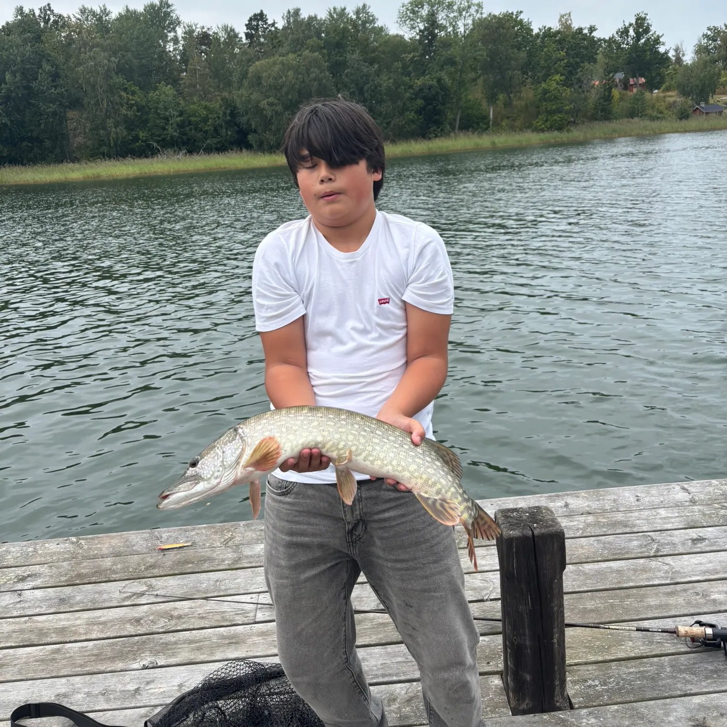 Northern pike caught on Fishbrain