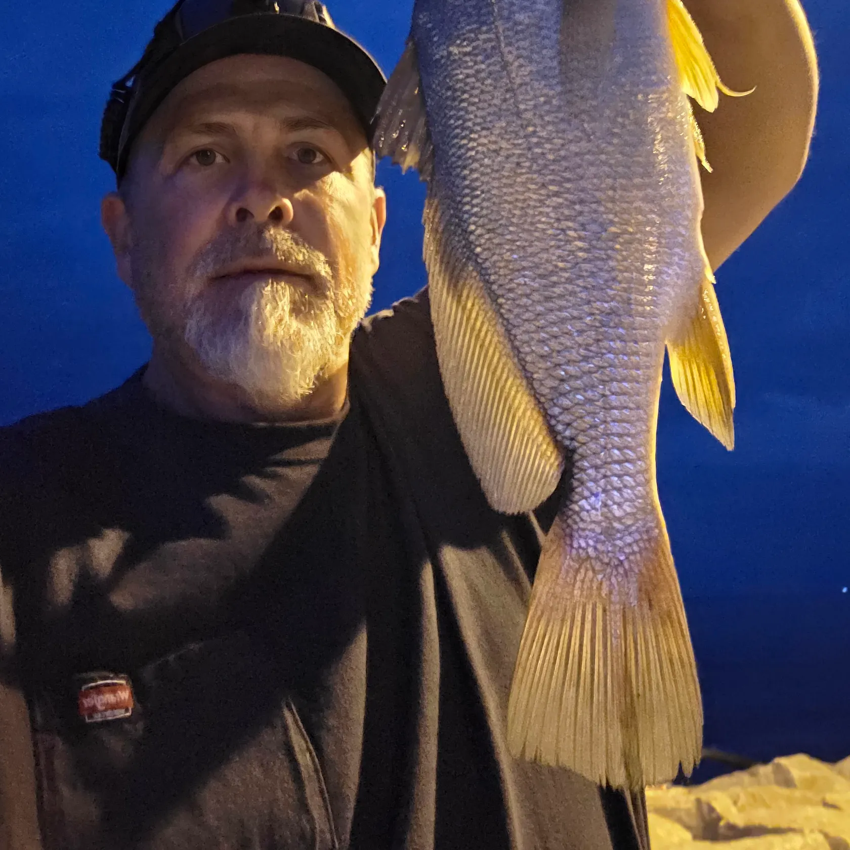 Freshwater drum caught on Fishbrain