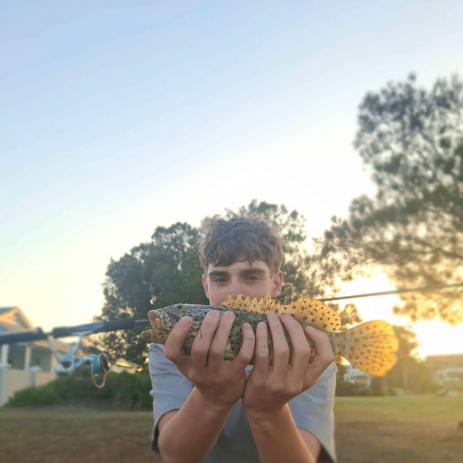 Orange-spotted grouper caught on Fishbrain