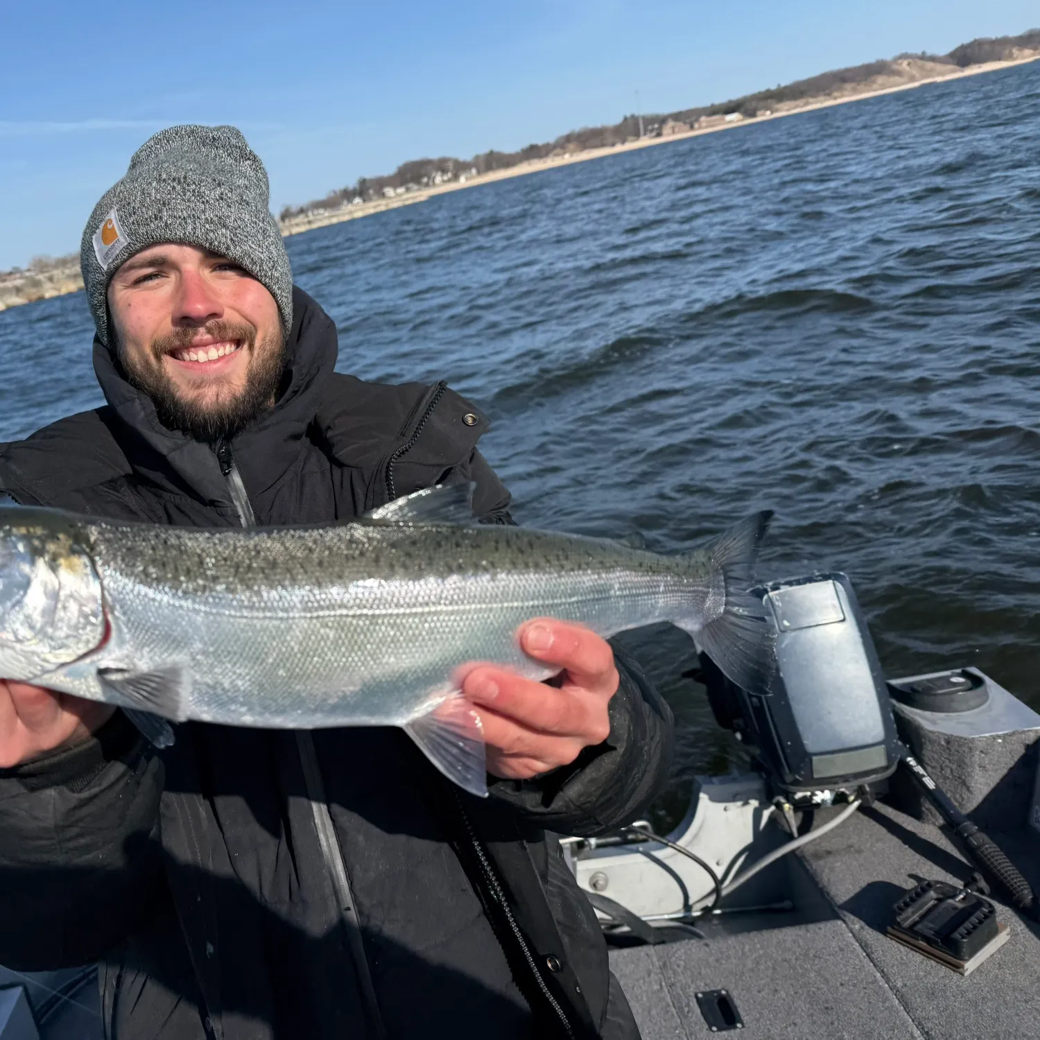 The most recent Coho salmon catches on Fishbrain