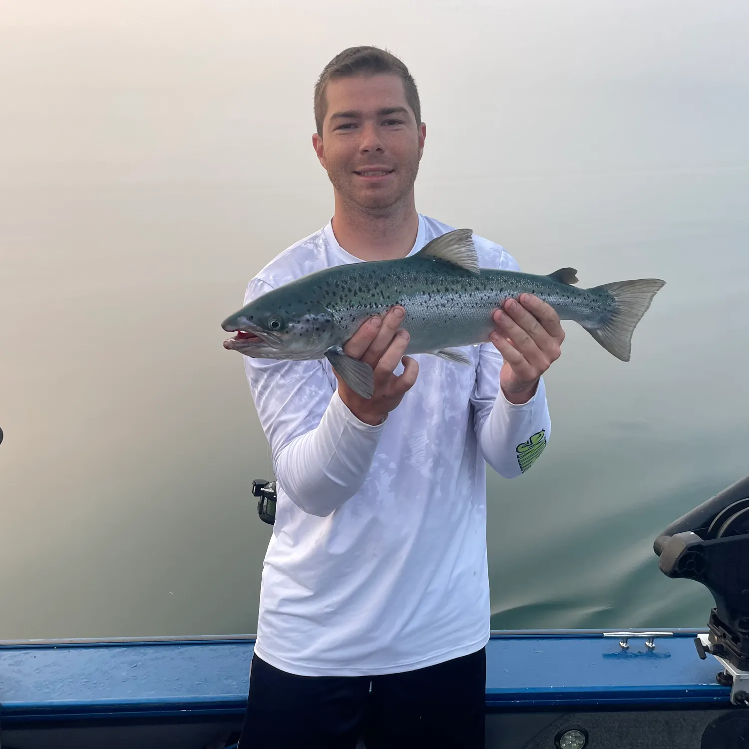 The most recent Atlantic salmon catches on Fishbrain