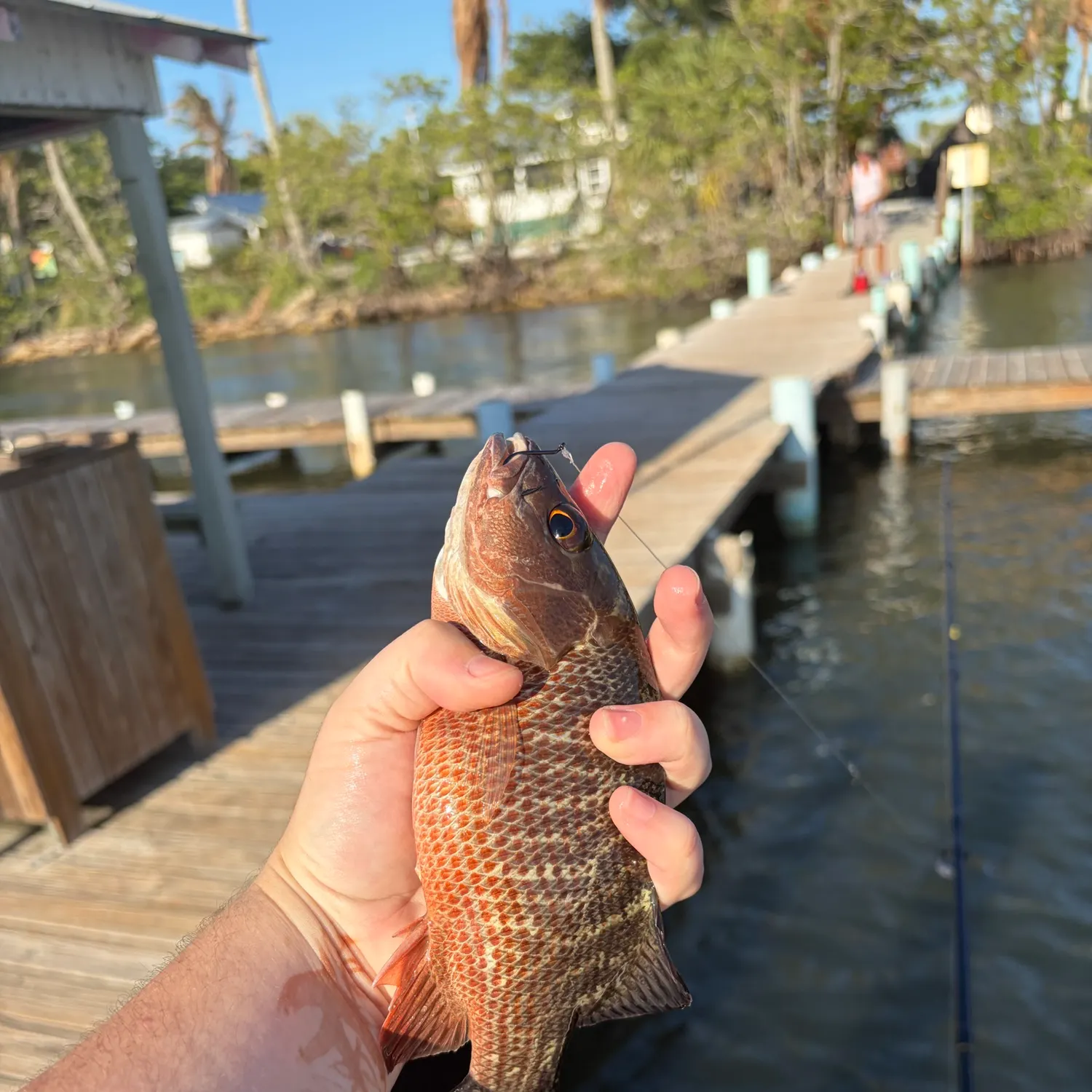 catch