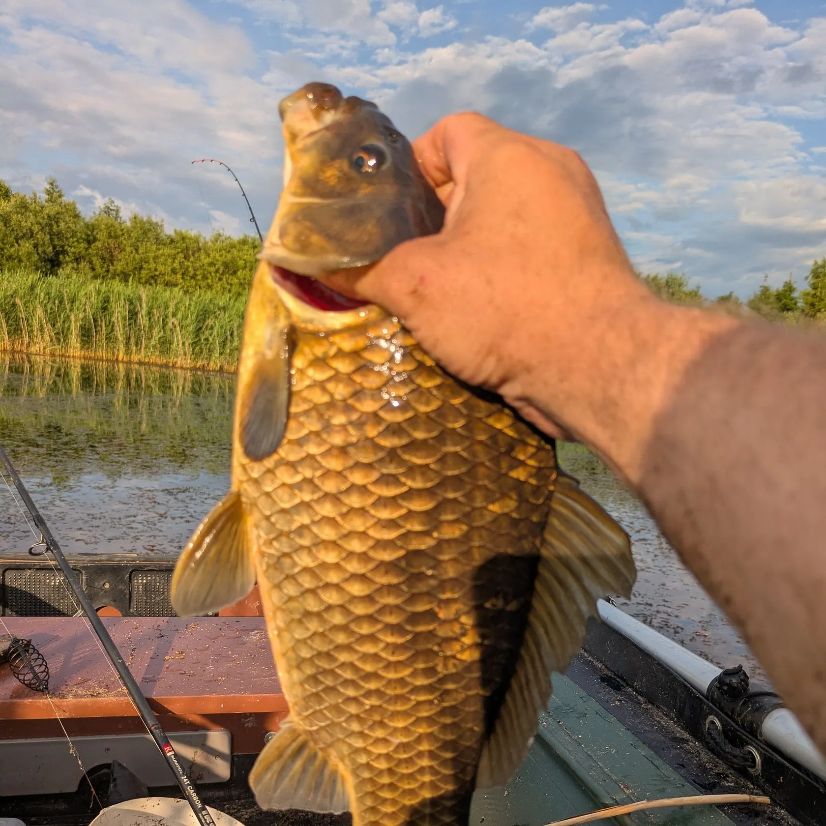 catch