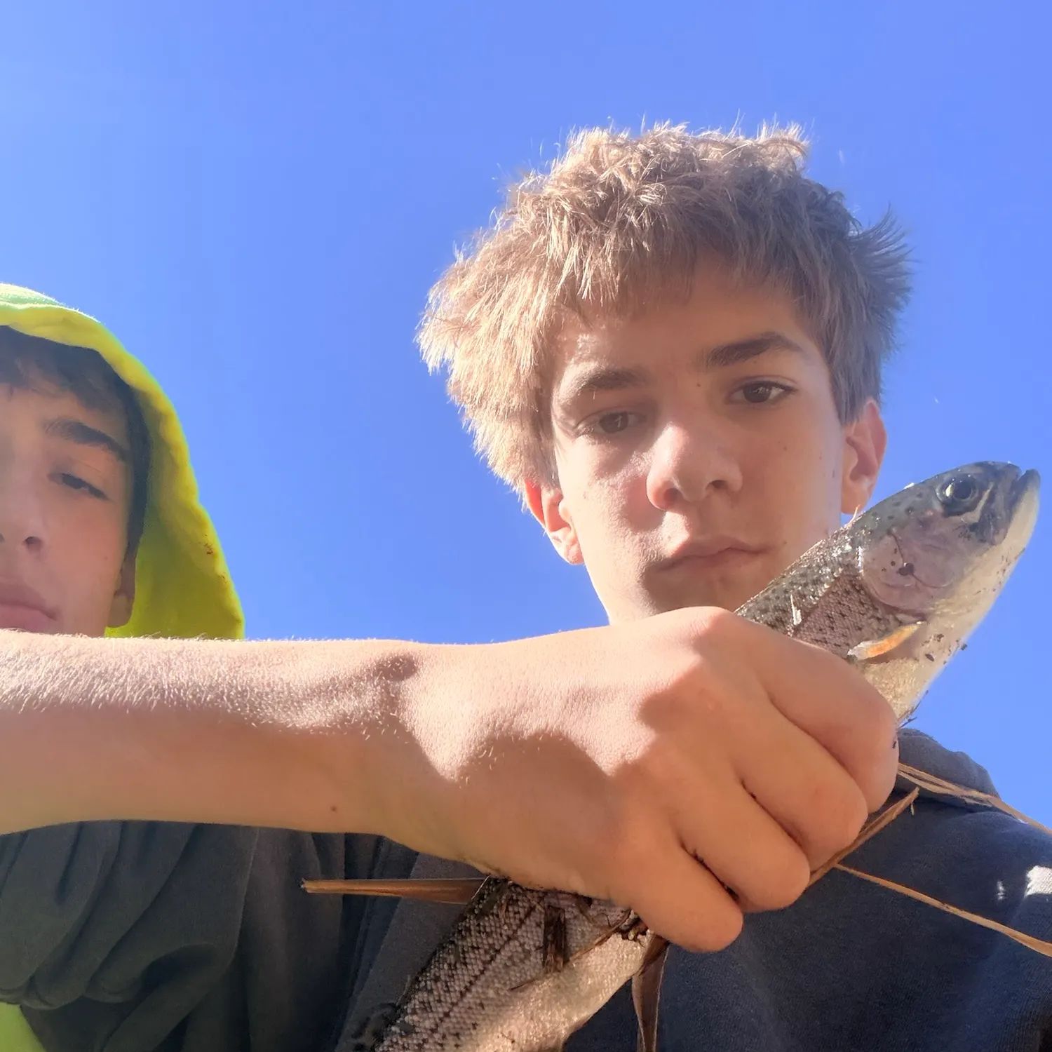 Fish caught on Fishbrain