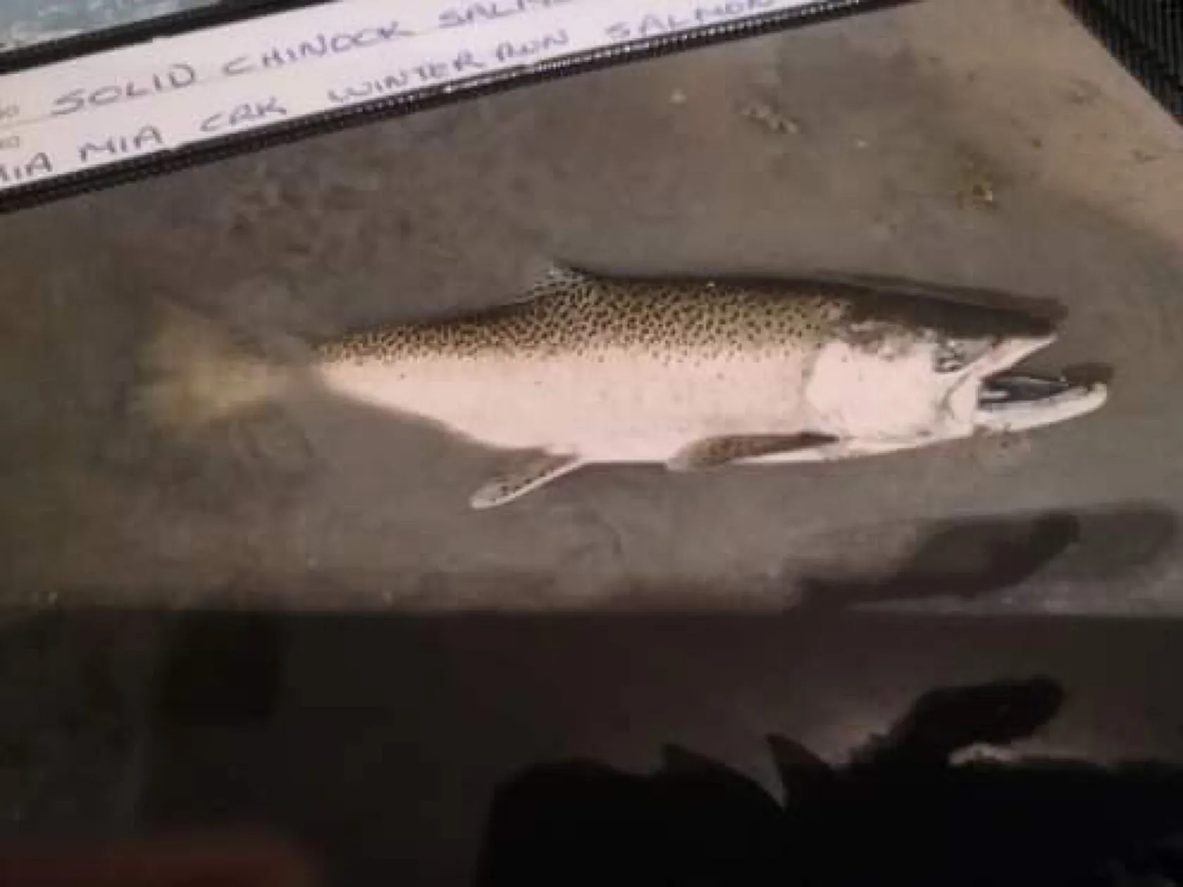 Post image from jordanazzopardi