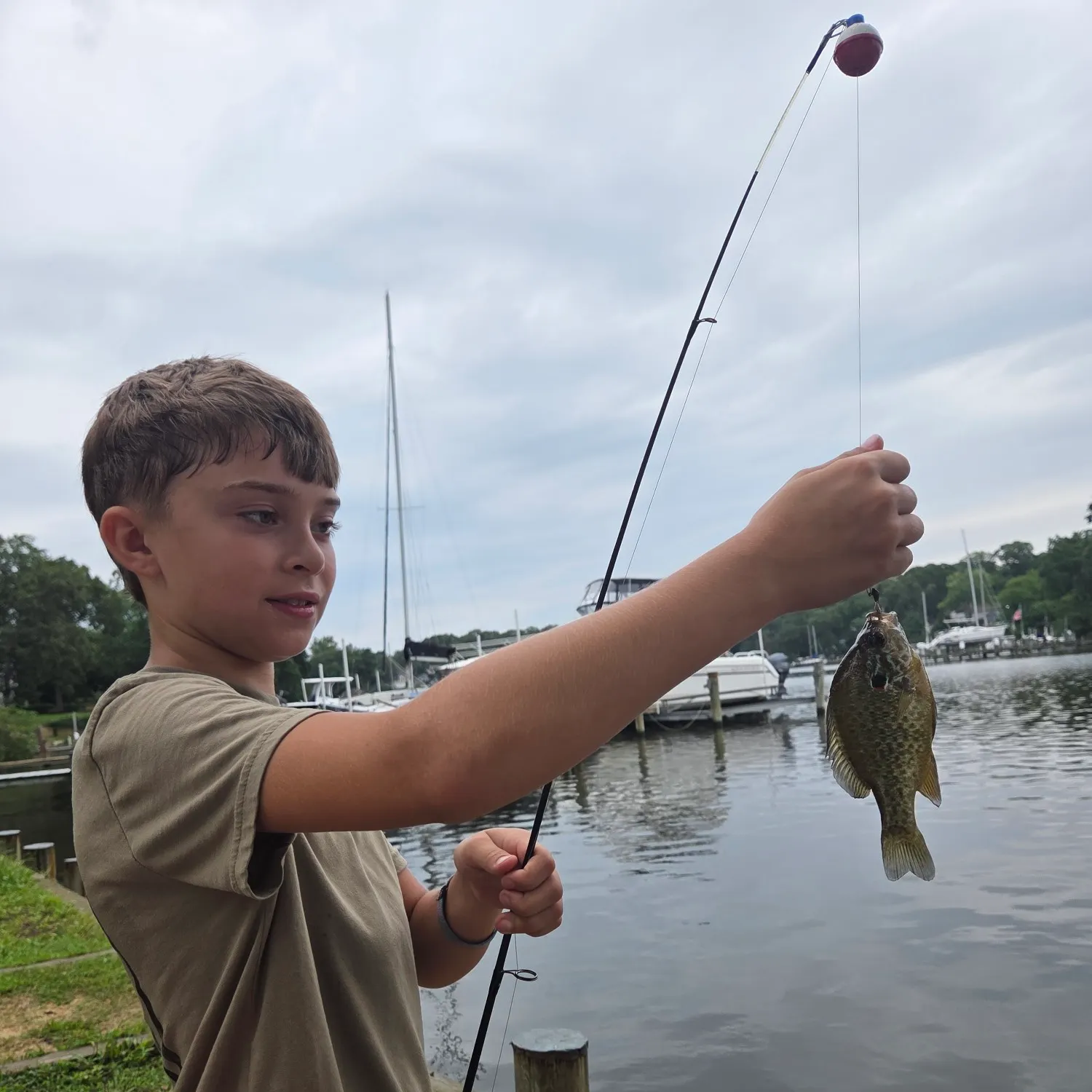 Pumpkinseed caught on Fishbrain
