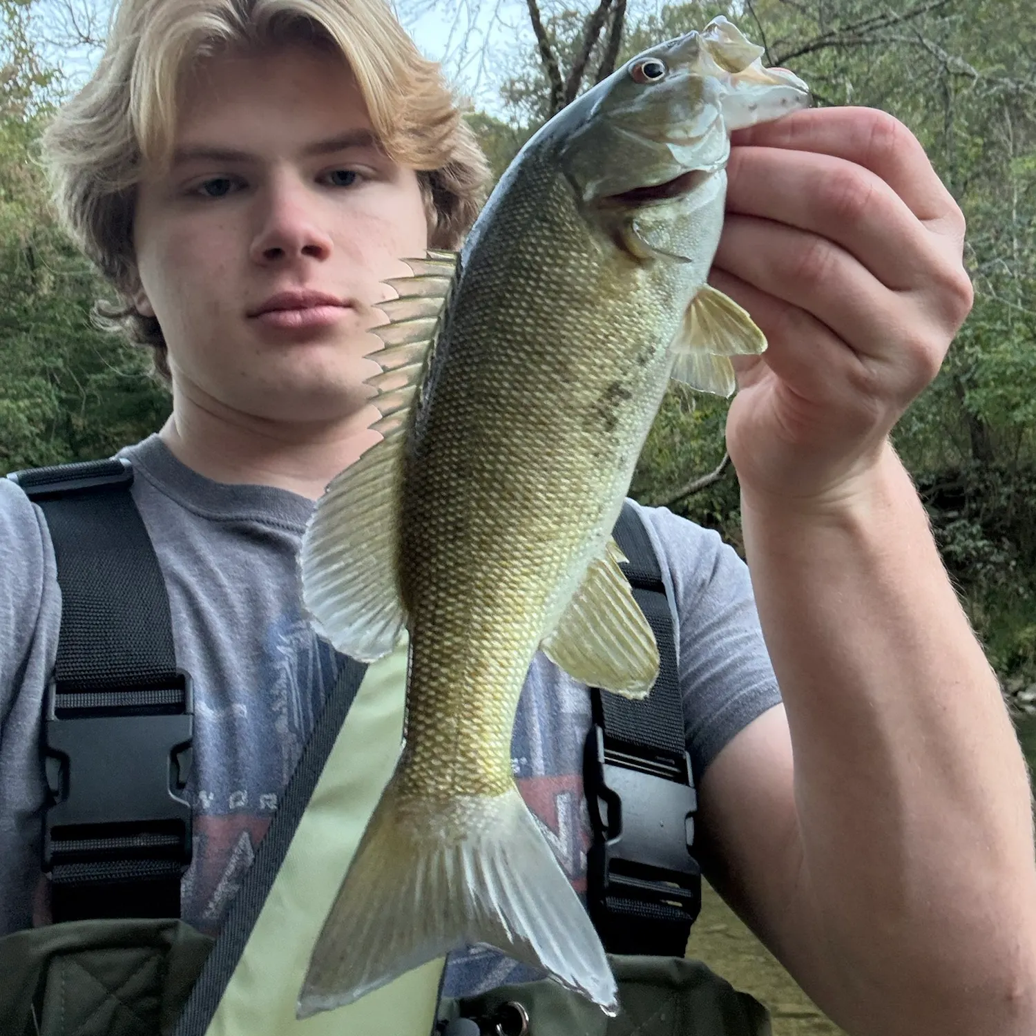 Smallmouth bass caught on Fishbrain