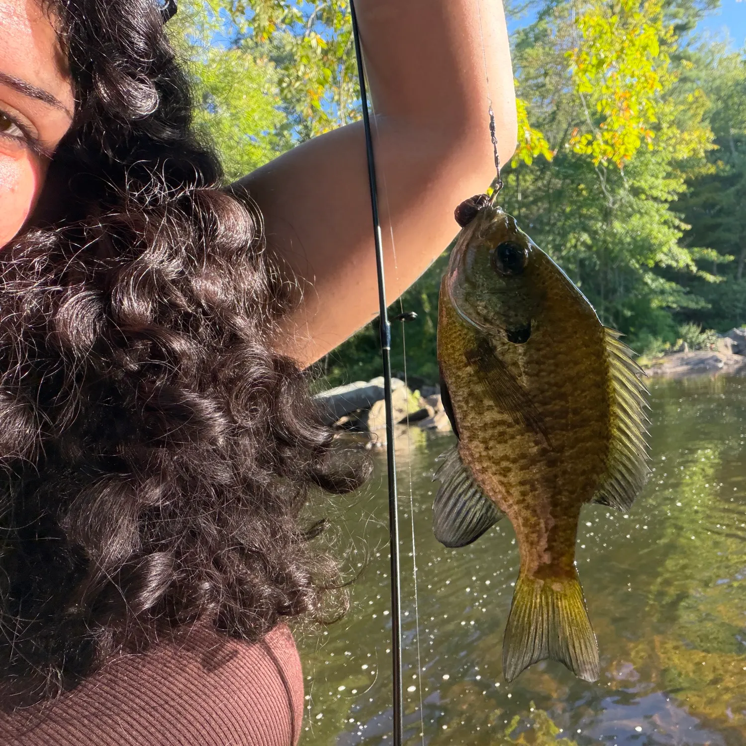 Bluegill caught on Fishbrain