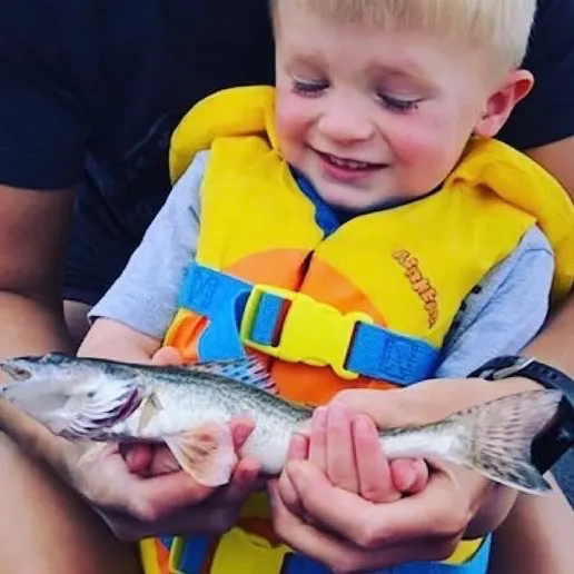 Walleye caught on Fishbrain