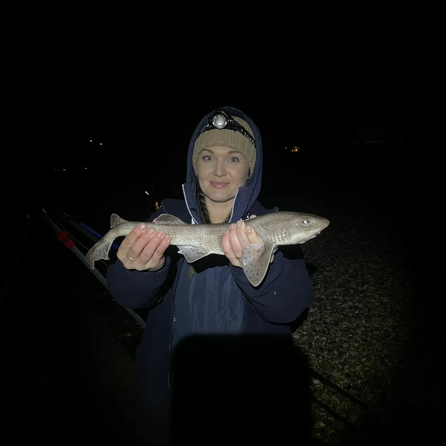 The most recent Lesser spotted dogfish catches on Fishbrain