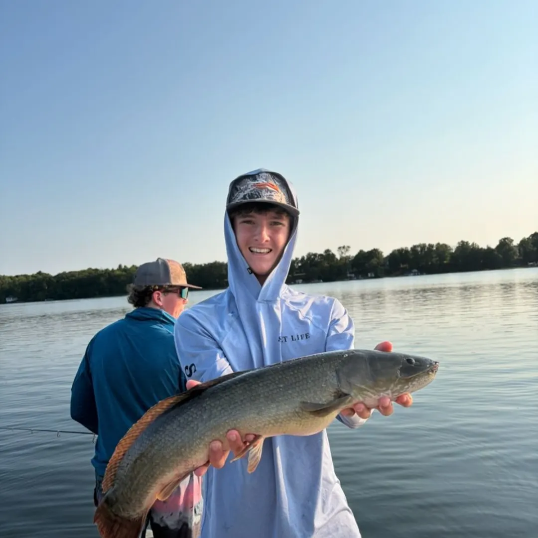 Ruddy bowfin caught on Fishbrain