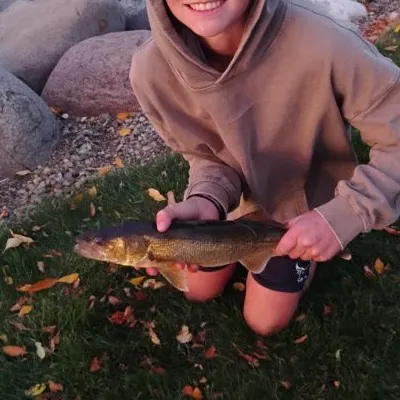 Walleye caught on Fishbrain