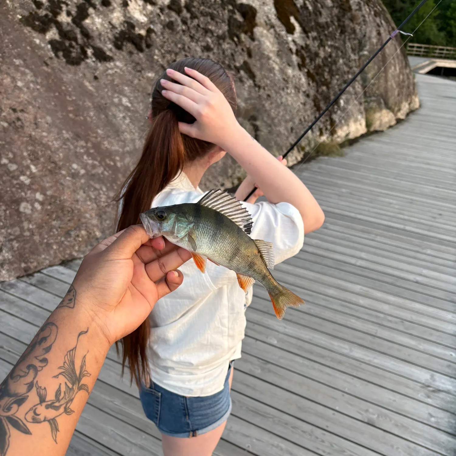 European perch caught on Fishbrain