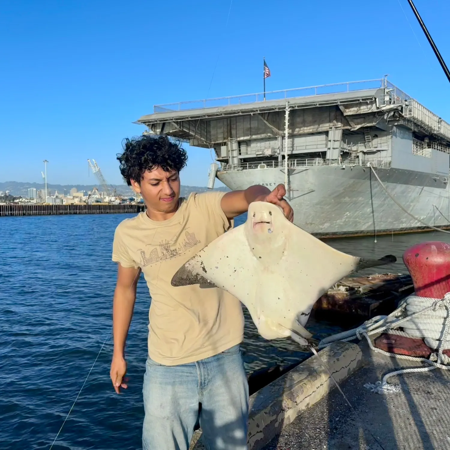 Bat eagle ray caught on Fishbrain