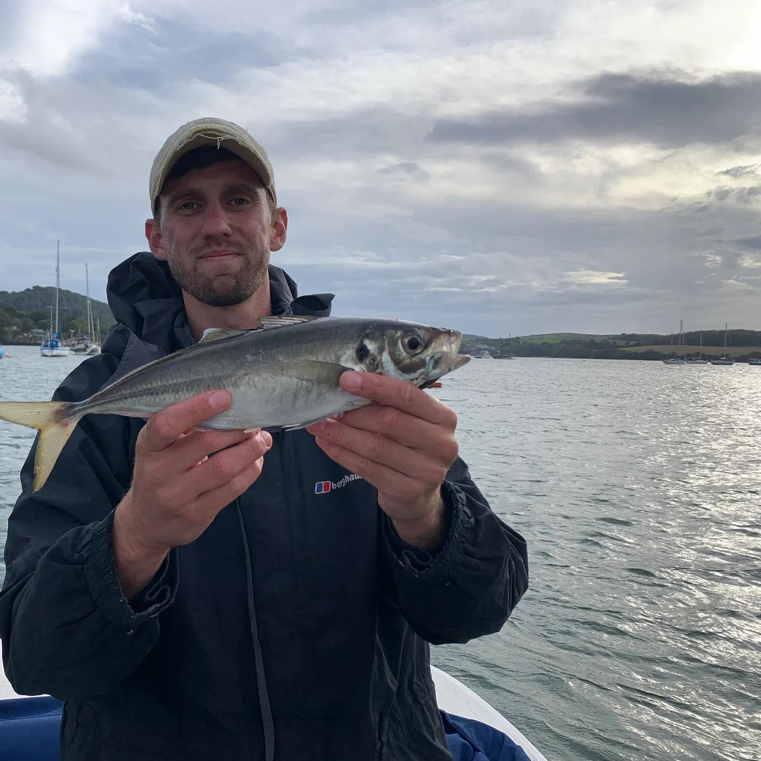 Atlantic horse mackerel caught on Fishbrain