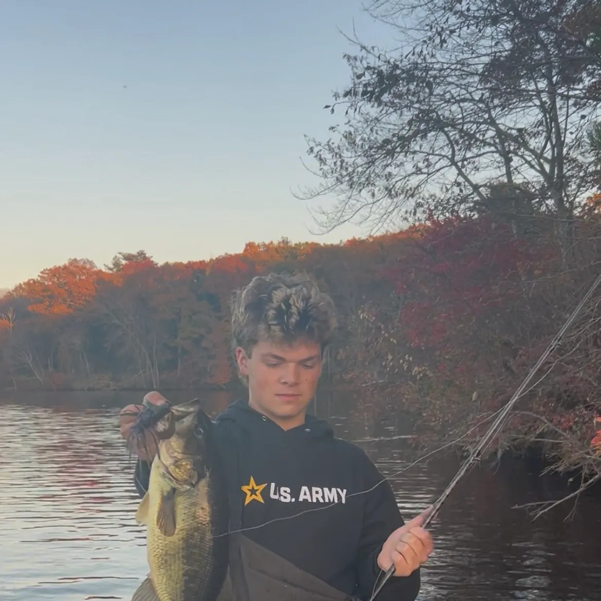 Largemouth bass caught on Fishbrain