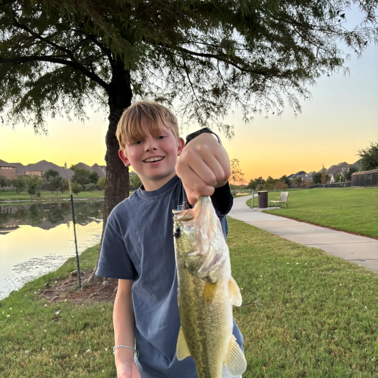 Largemouth bass caught on Fishbrain