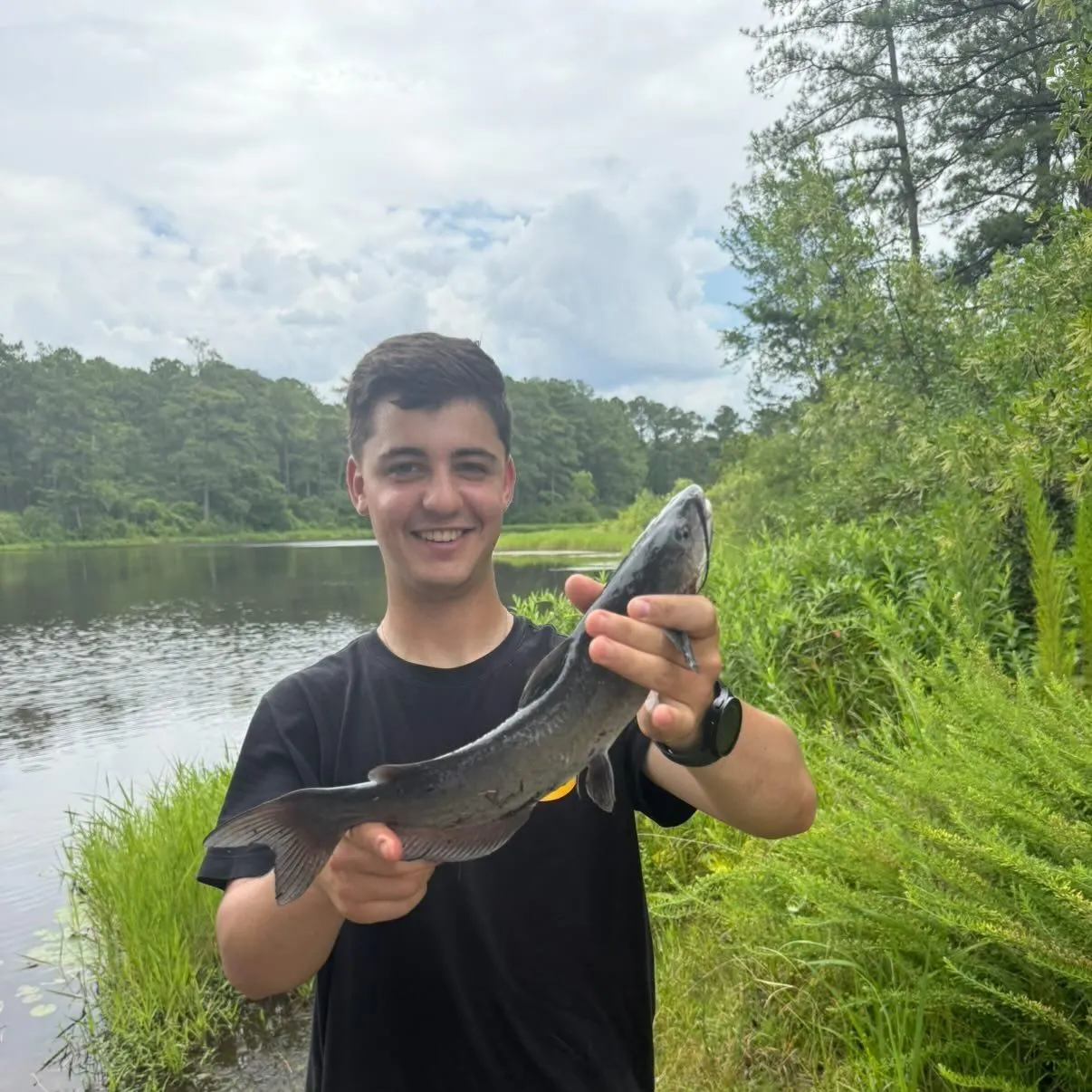 catch