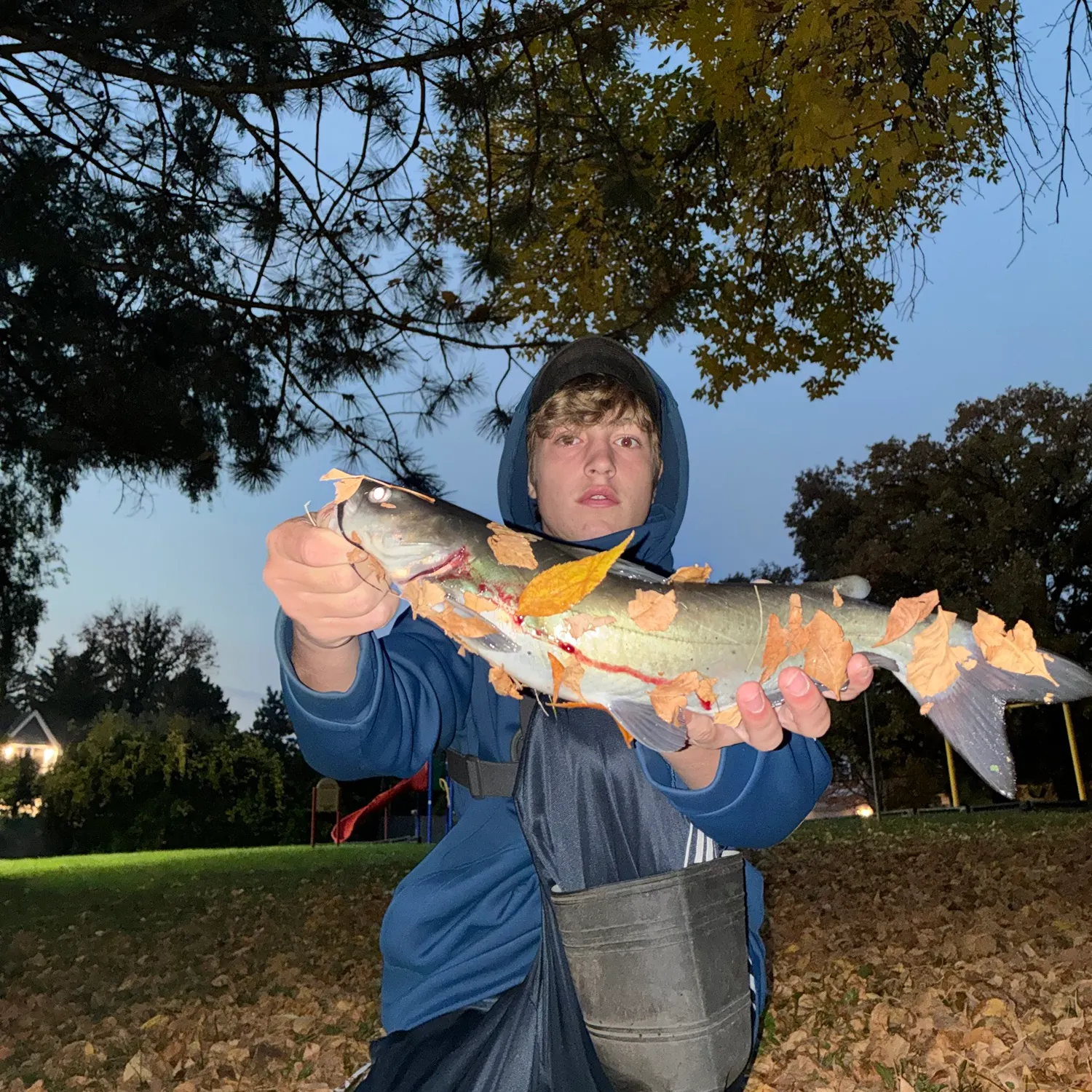 Channel catfish caught on Fishbrain