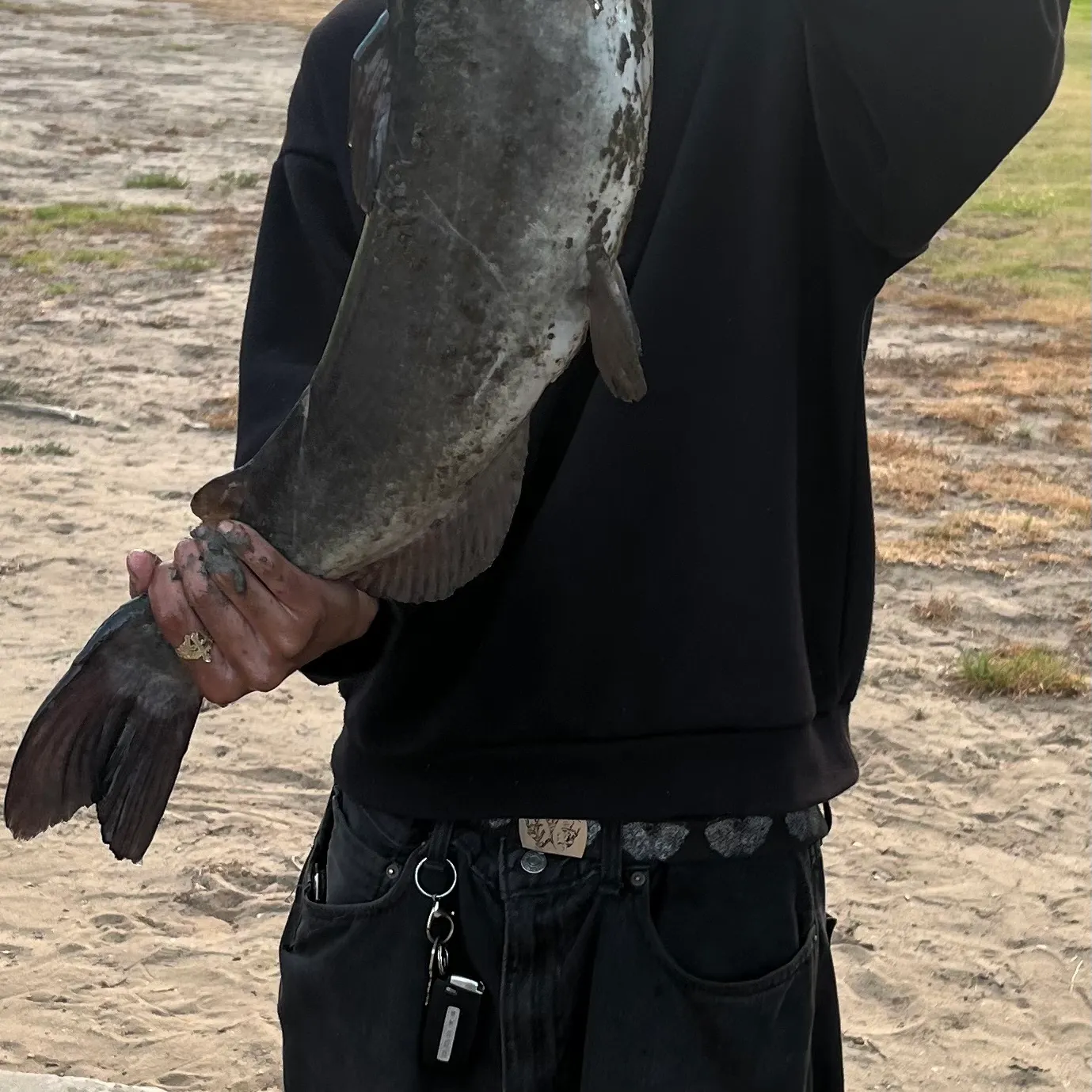 Channel catfish caught on Fishbrain