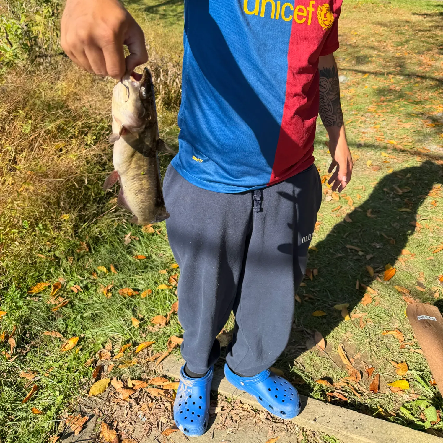 Black bullhead caught on Fishbrain