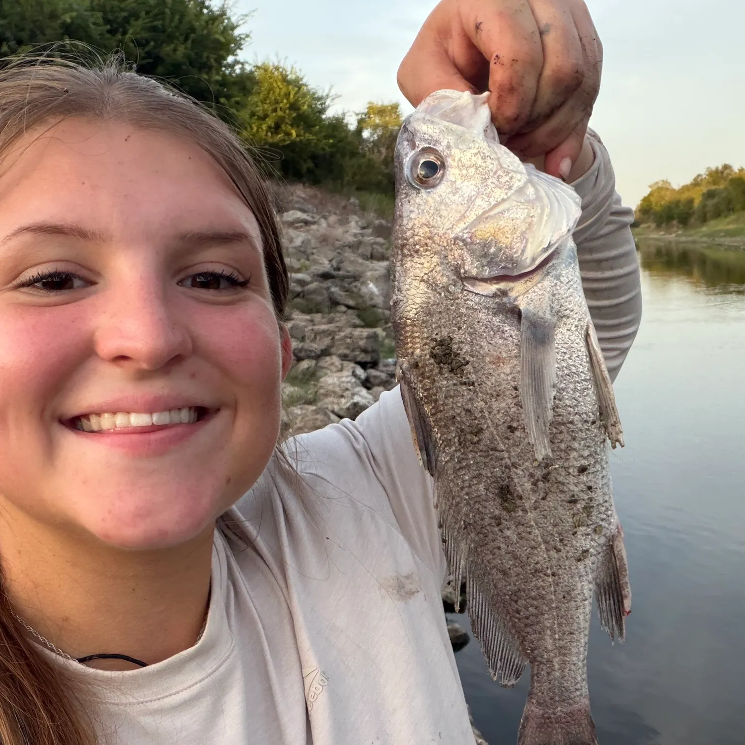 Freshwater drum caught on Fishbrain