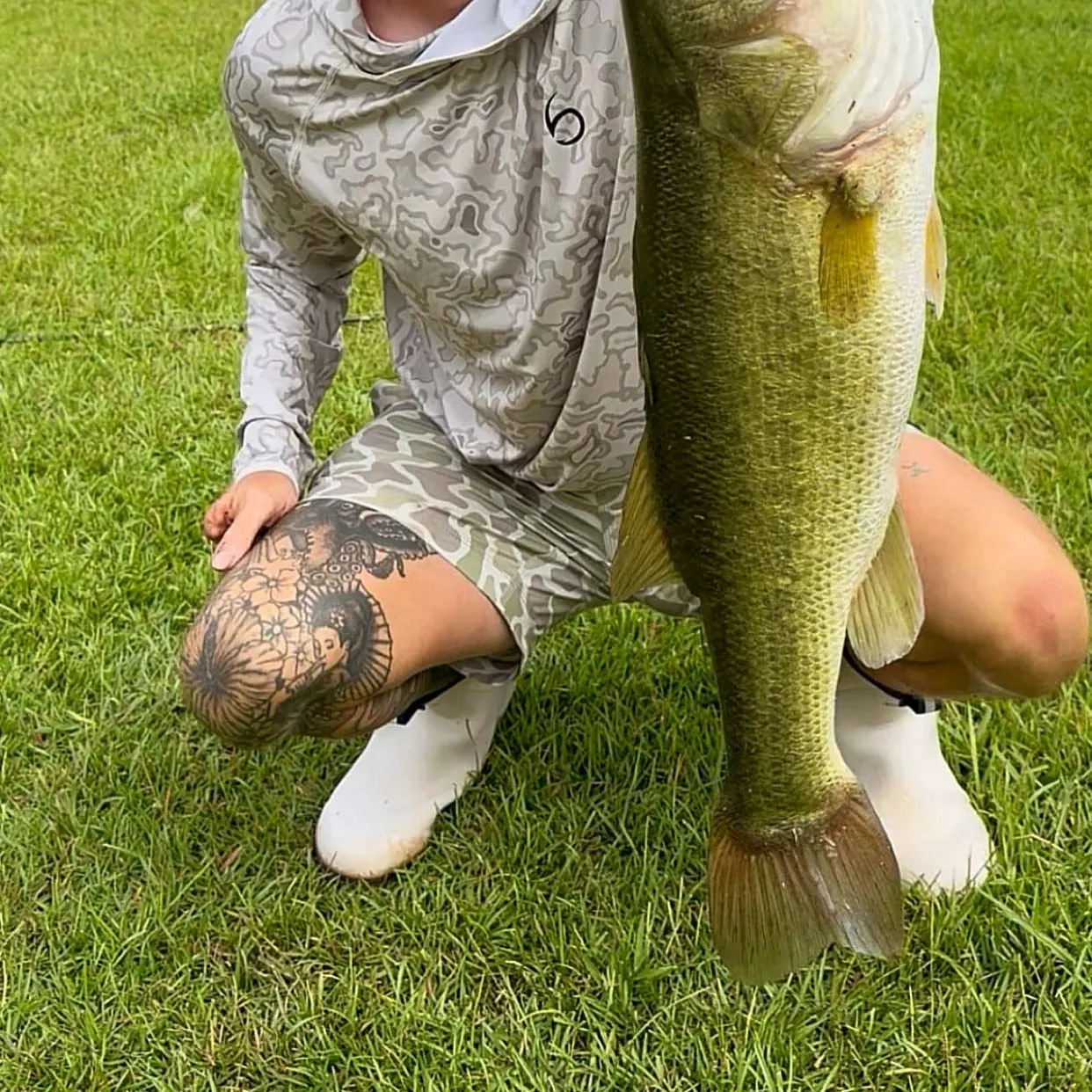 Largemouth bass caught on Fishbrain