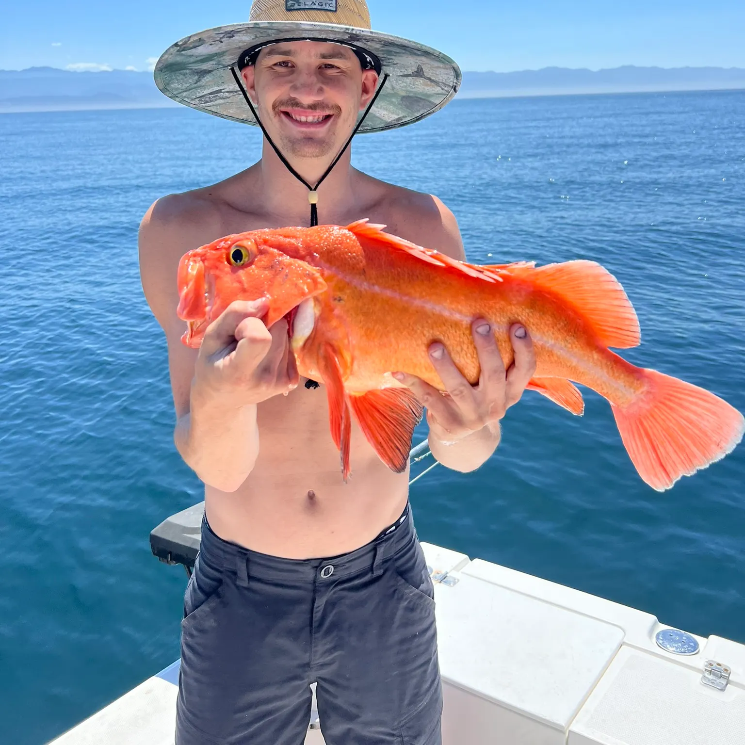 The most recent Yelloweye rockfish catches on Fishbrain
