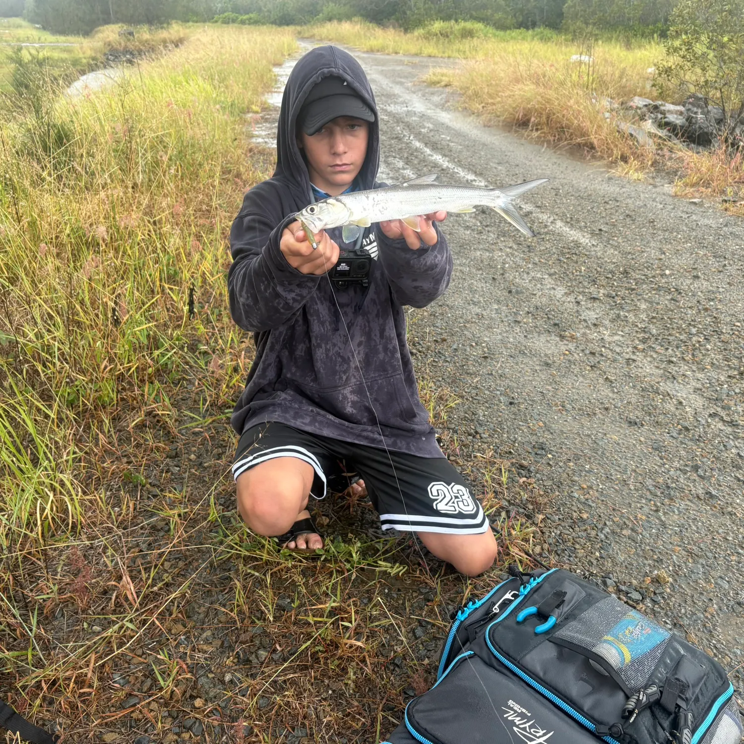The most recent Hawaiian ladyfish catches on Fishbrain