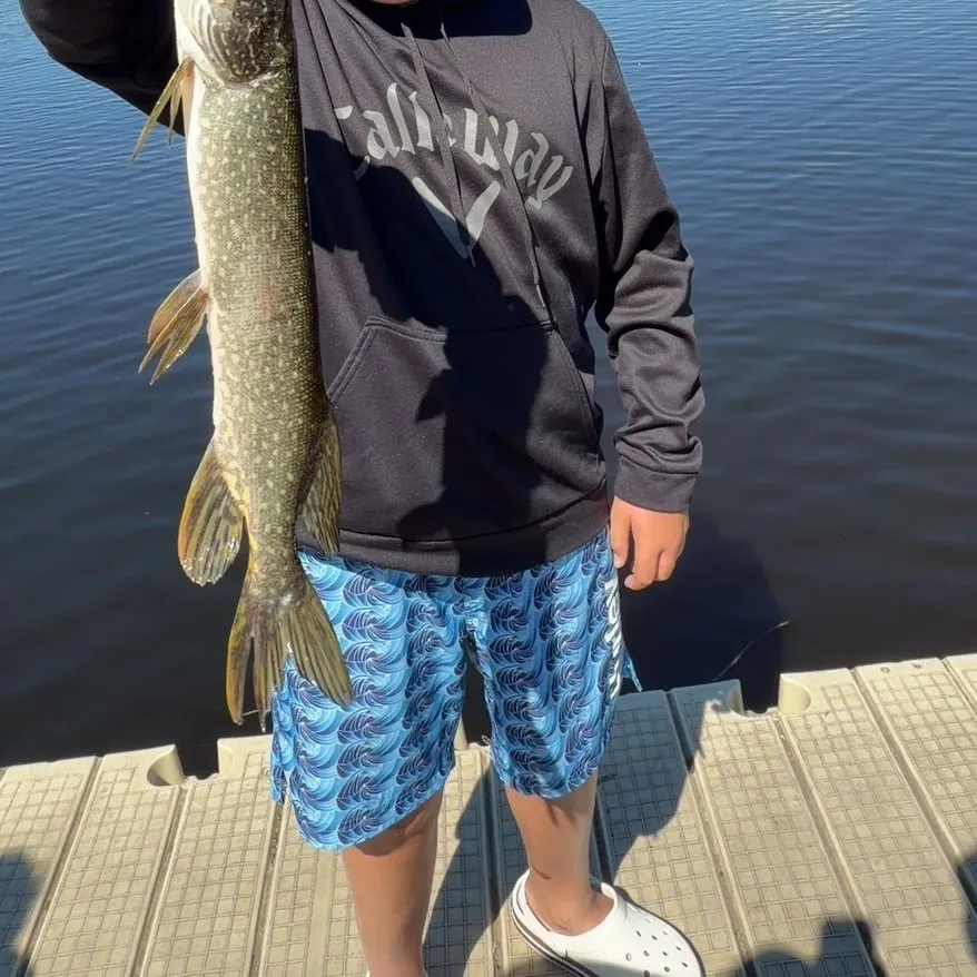 Northern pike caught on Fishbrain