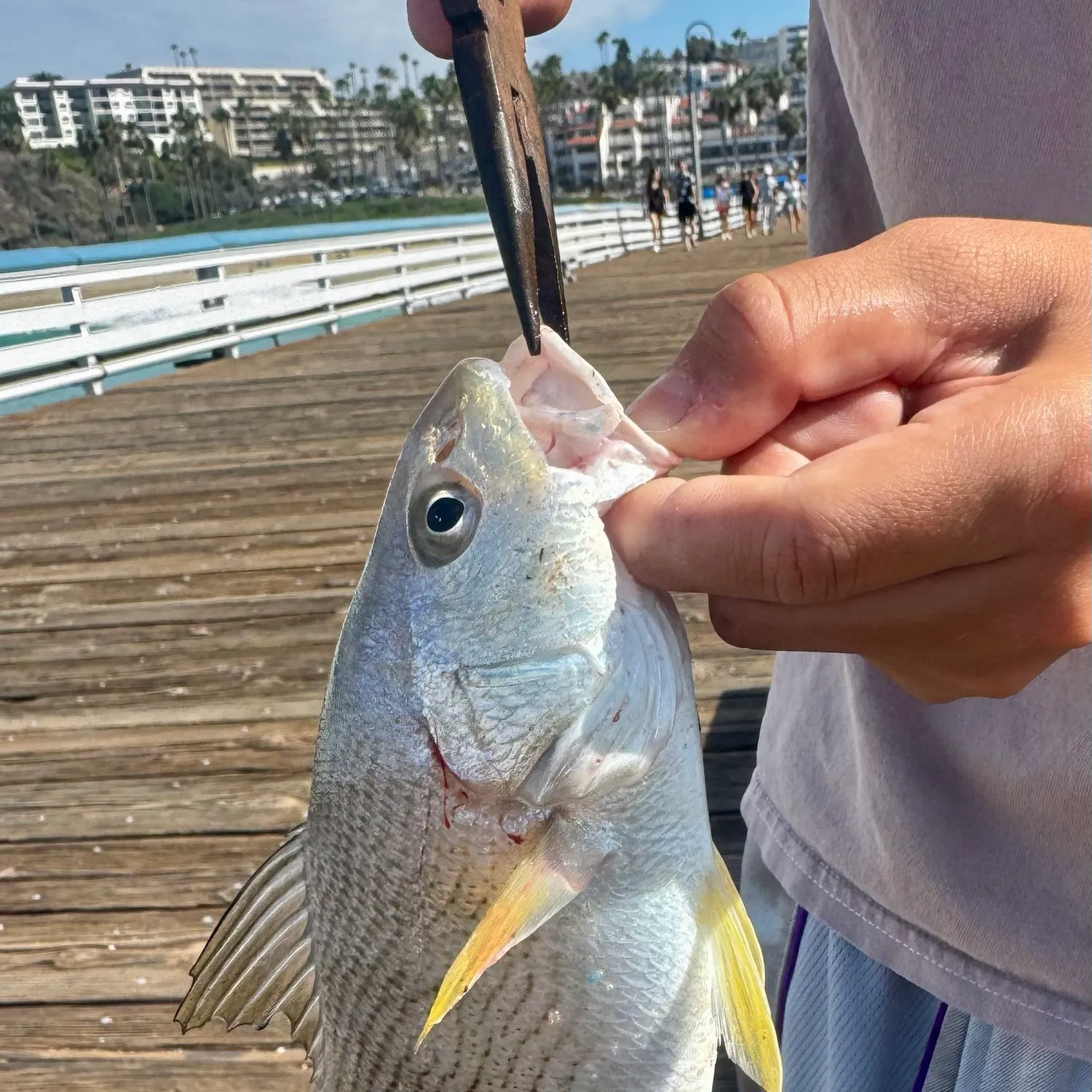 catch