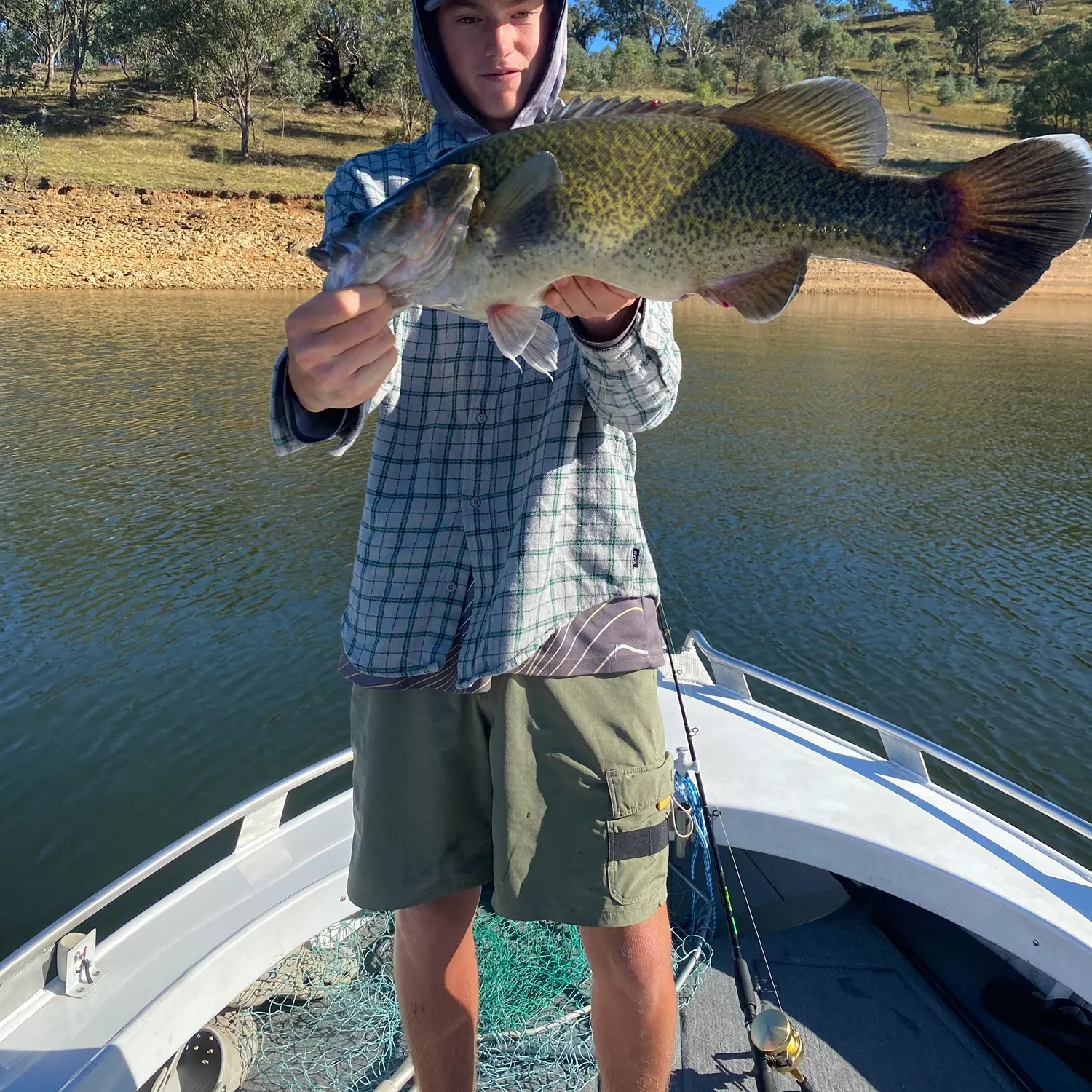 The most recent Murray cod catches on Fishbrain