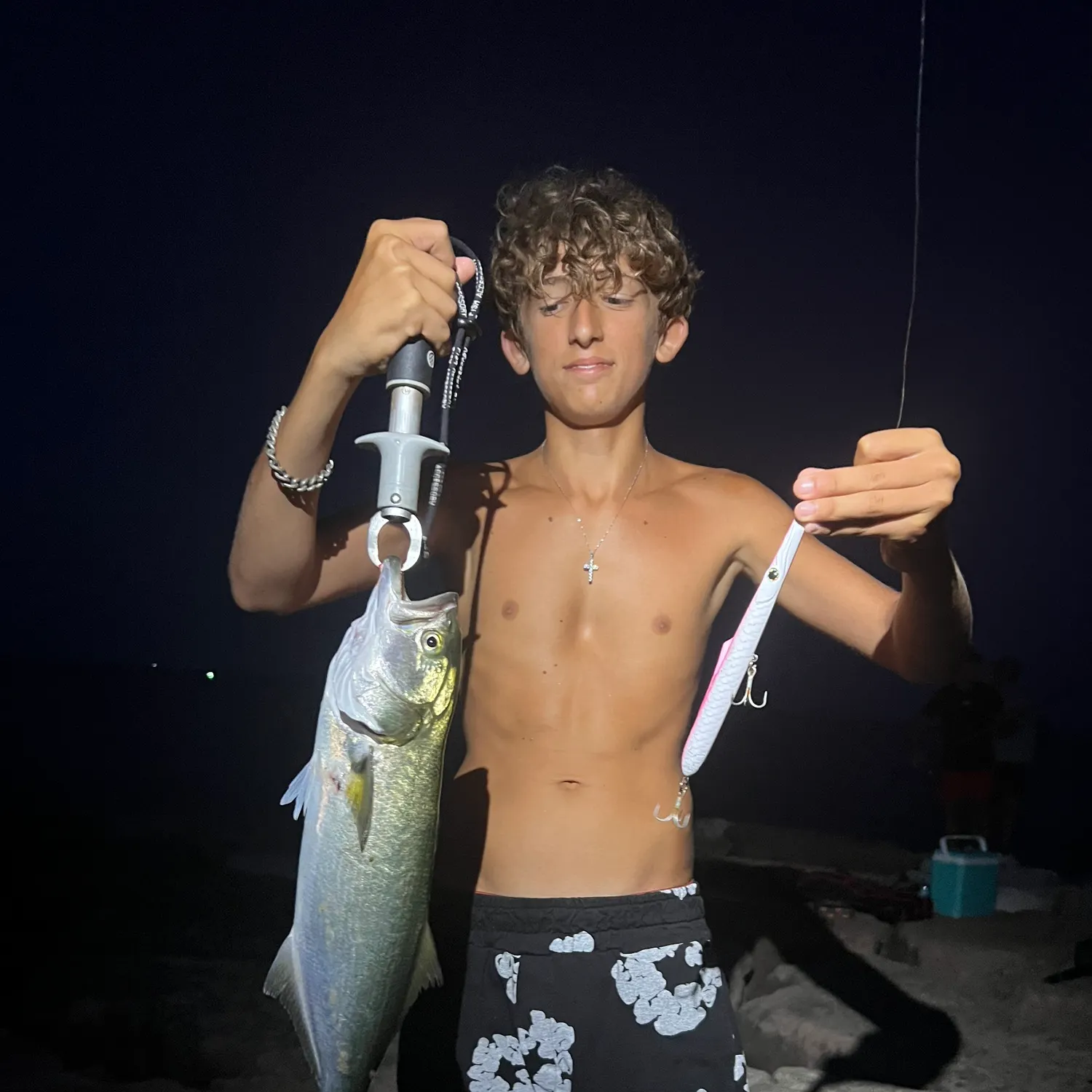 Bluefish caught on Fishbrain