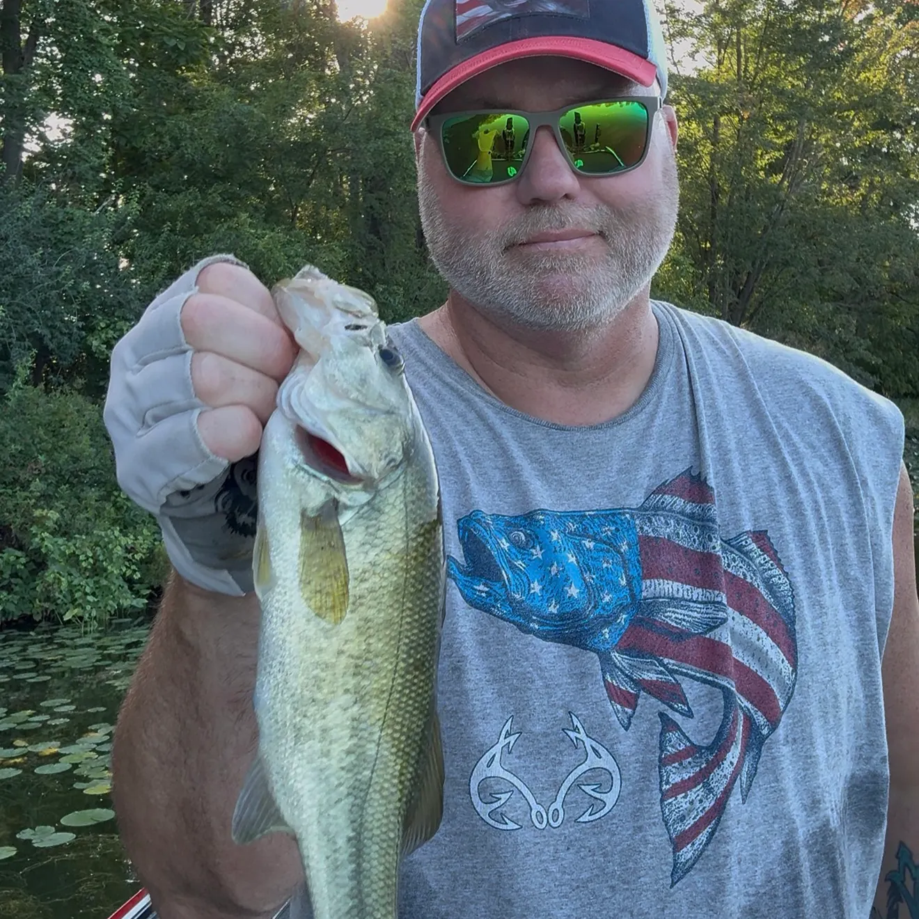Largemouth bass caught on Fishbrain