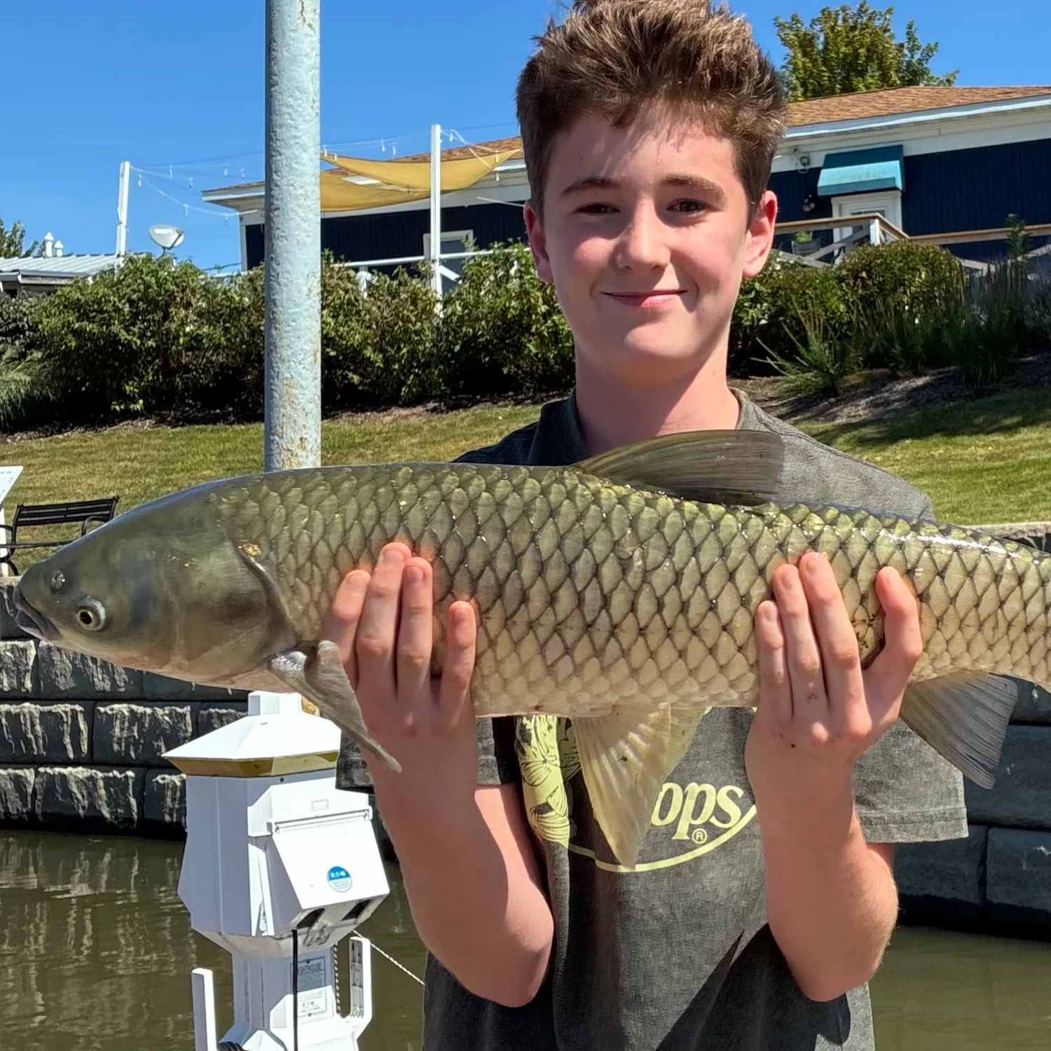 Grass carp caught on Fishbrain