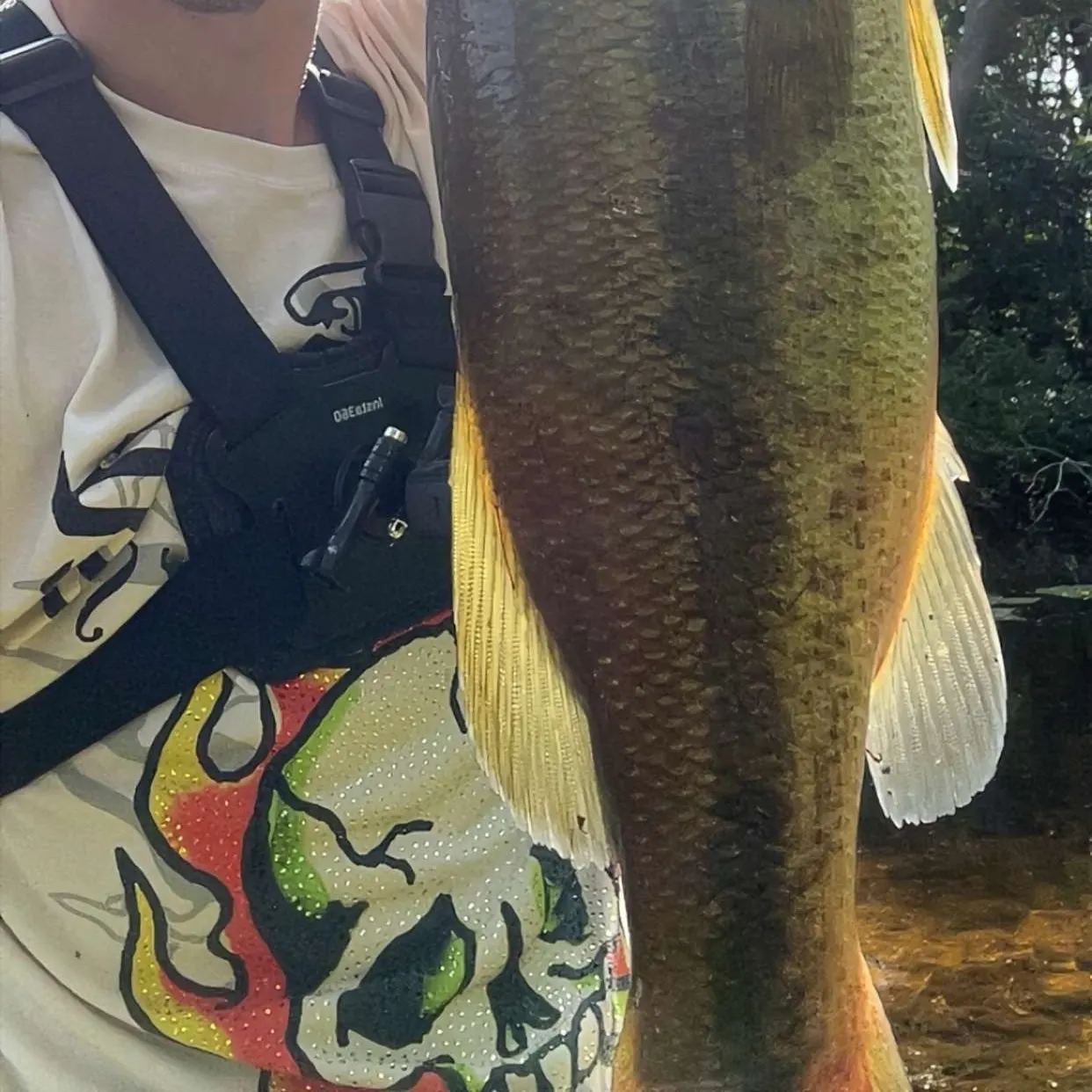 Largemouth bass caught on Fishbrain