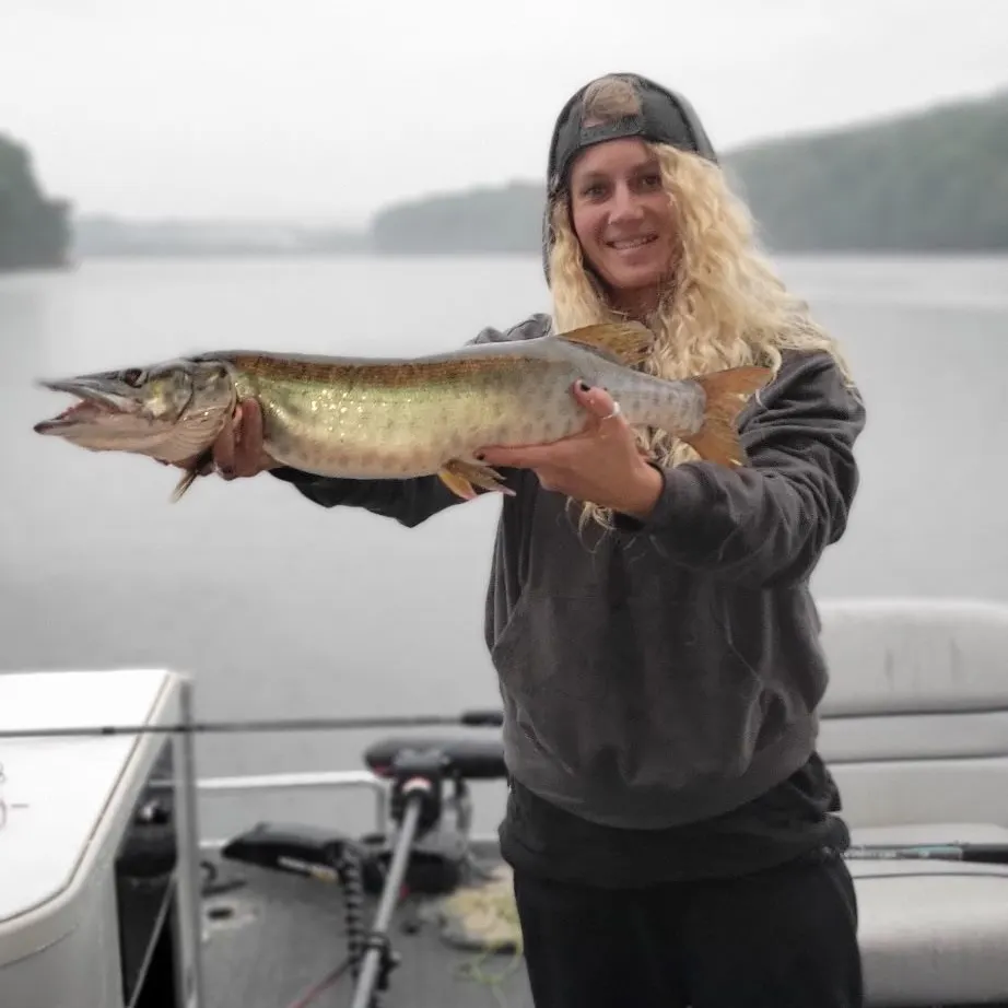 The most recent Muskie catches on Fishbrain