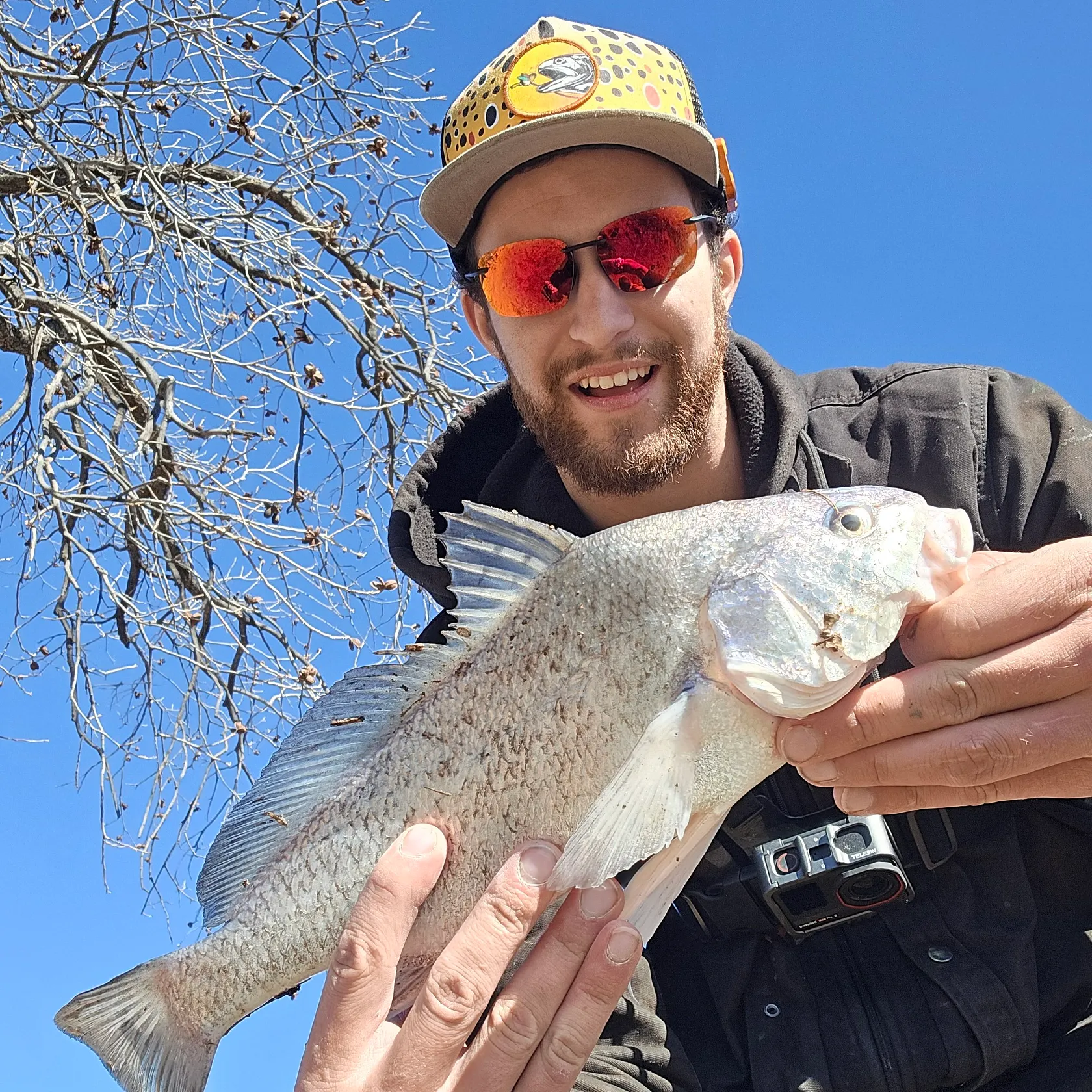 The most recent Freshwater drum catches on Fishbrain