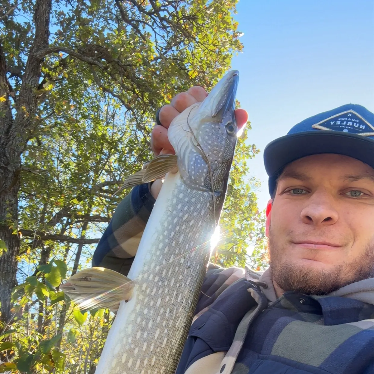 Northern pike caught on Fishbrain
