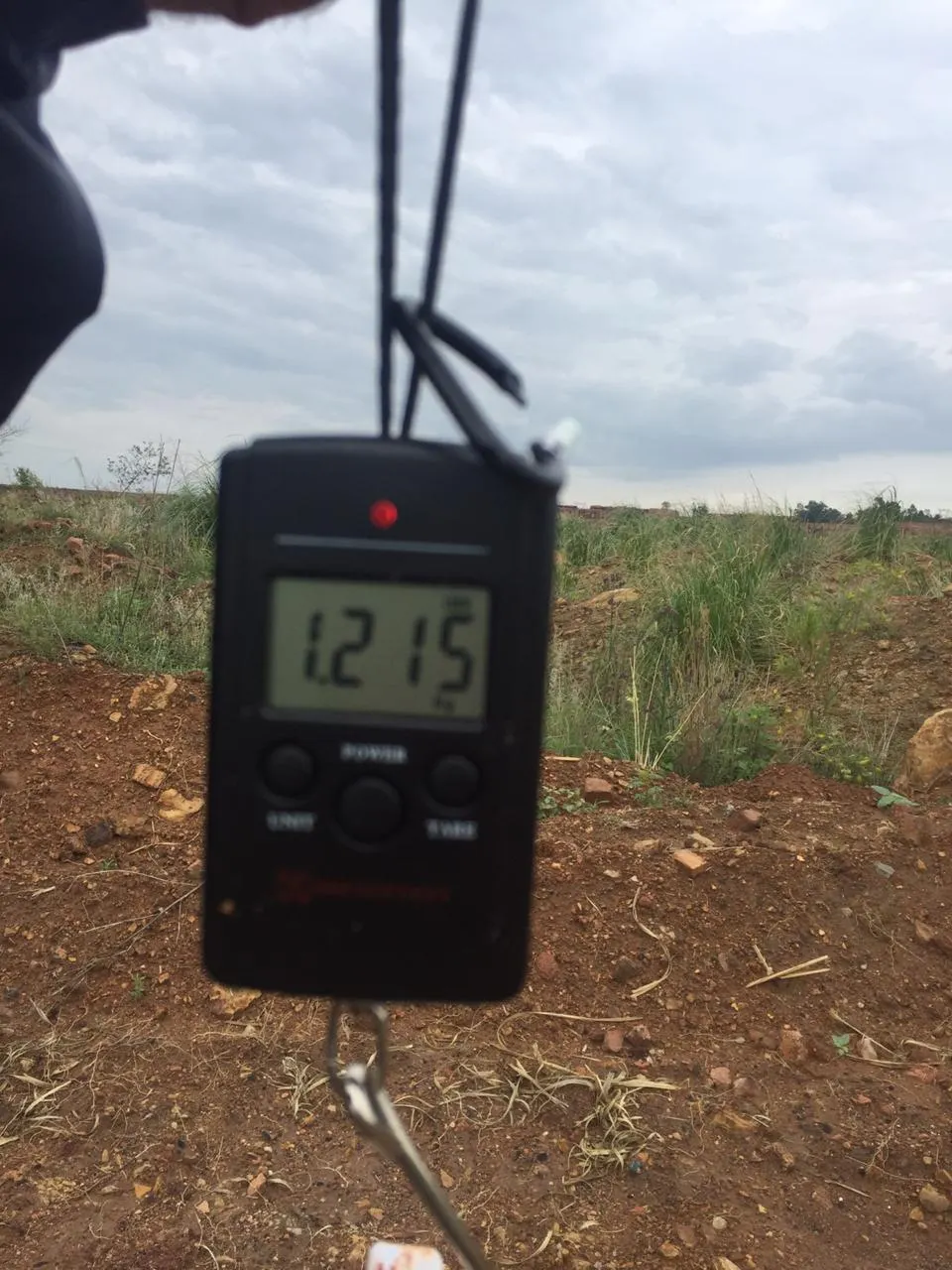 Post image from tpalm4359