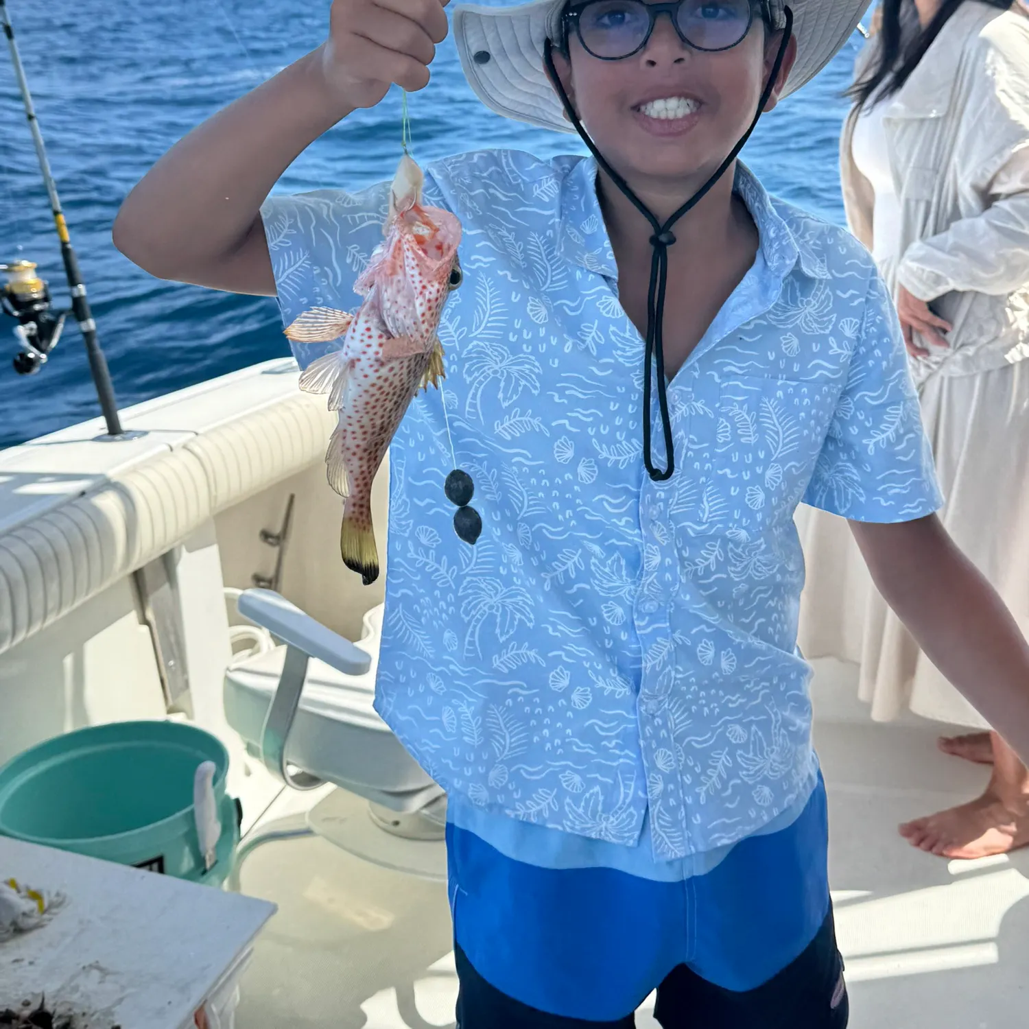 The most recent Areolate grouper catches on Fishbrain