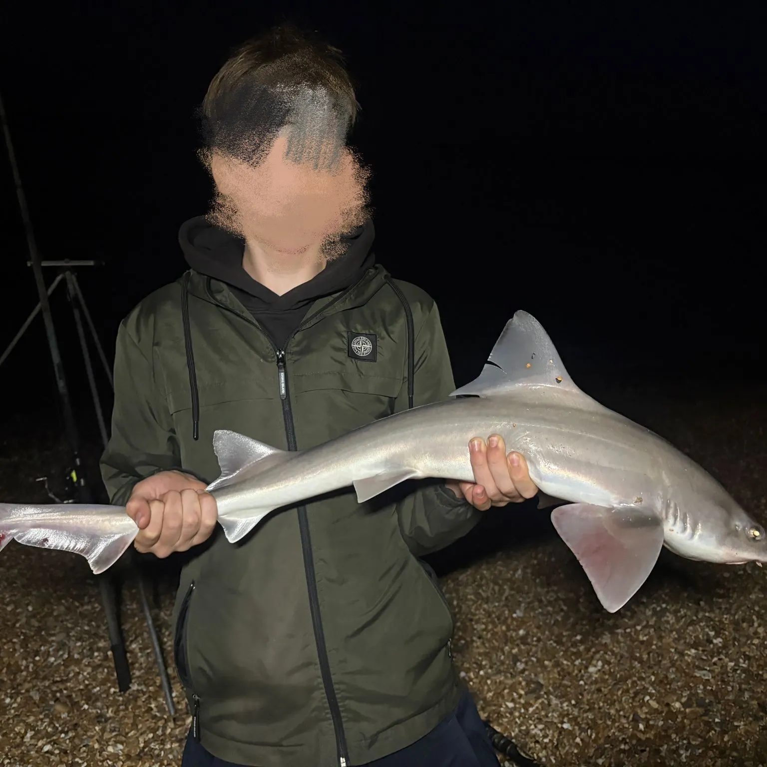 The most recent Starry smooth-hound catches on Fishbrain
