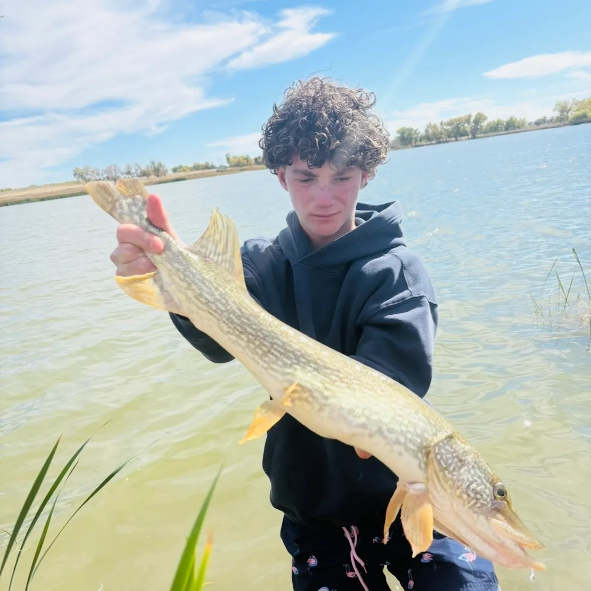 Northern pike caught on Fishbrain
