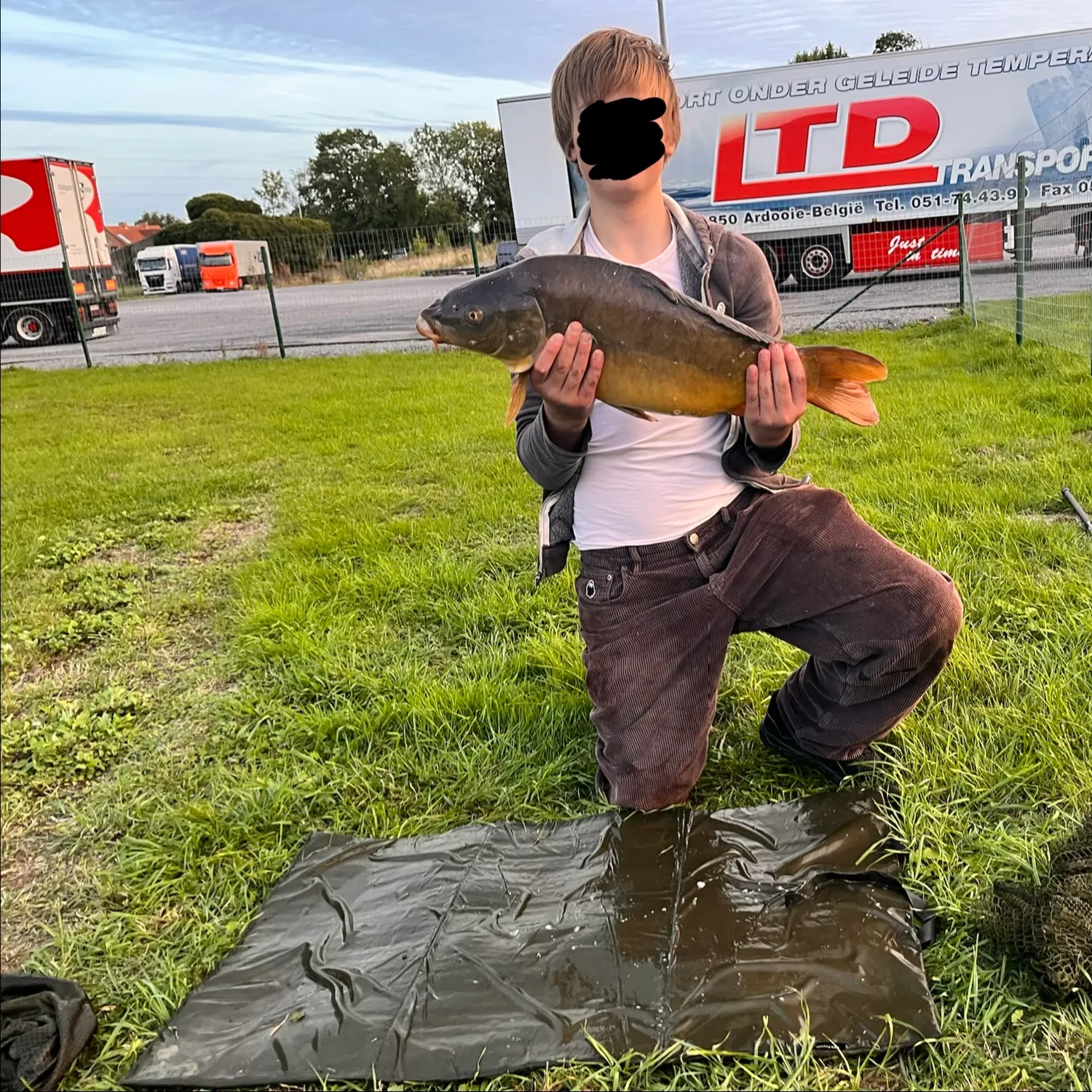 Leather carp caught on Fishbrain