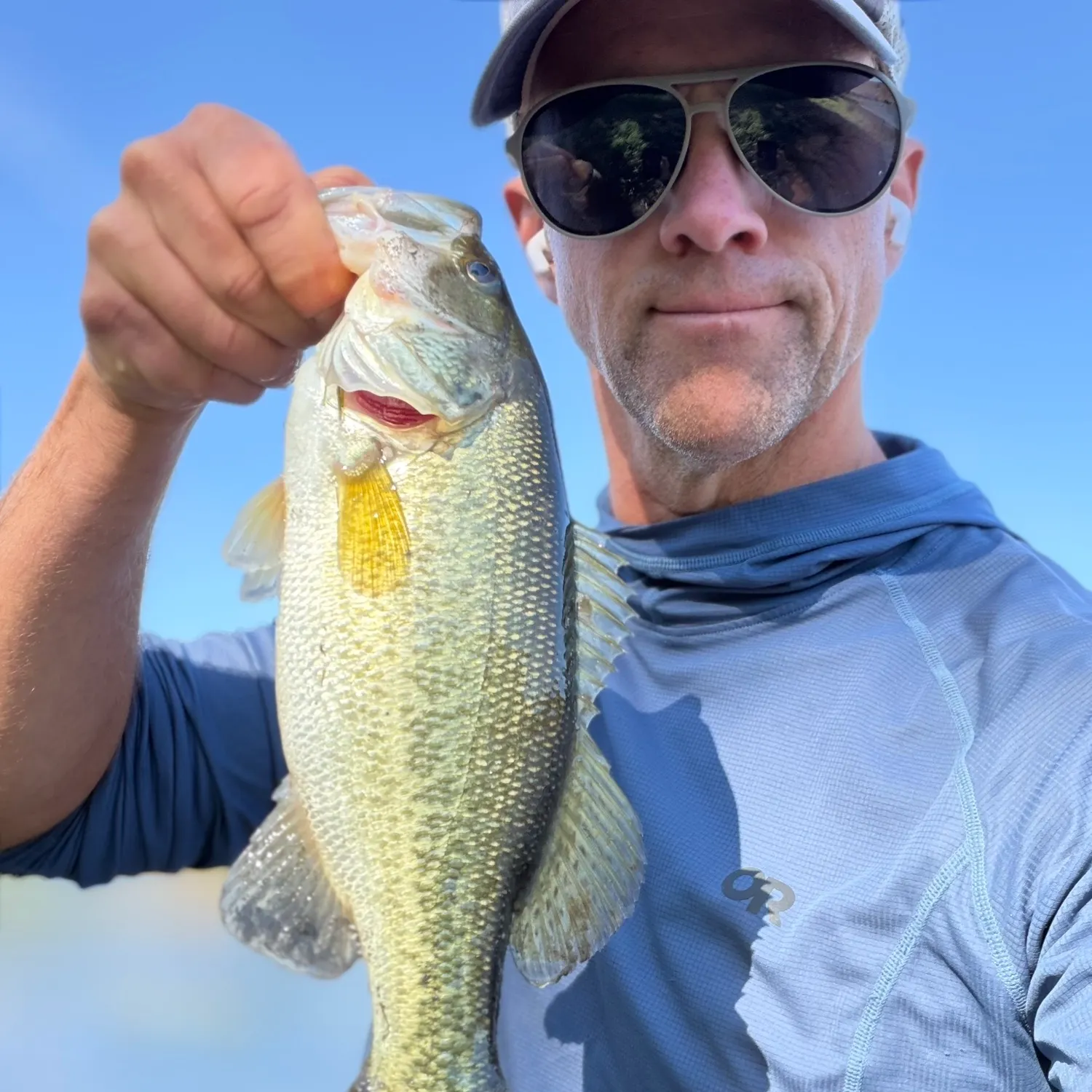 Largemouth bass caught on Fishbrain