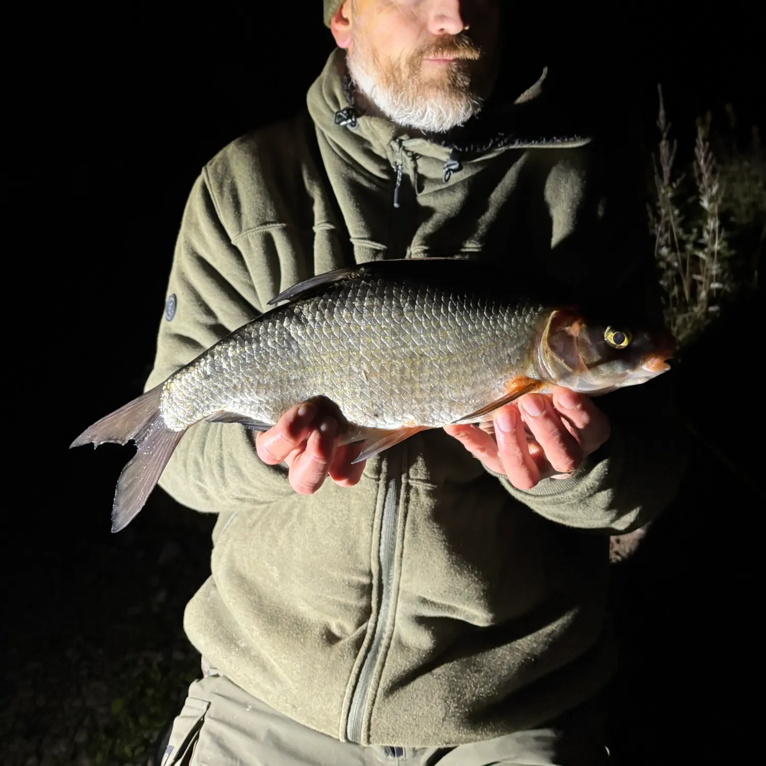 The most recent Vimba bream catches on Fishbrain