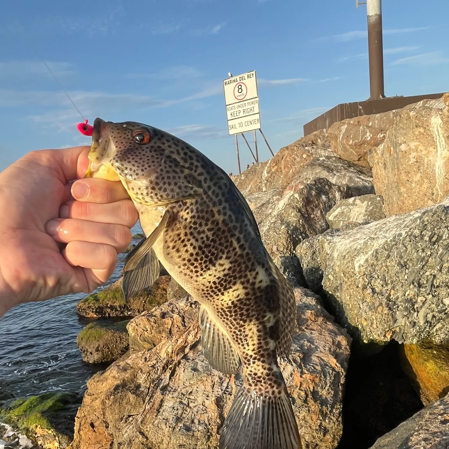 catch