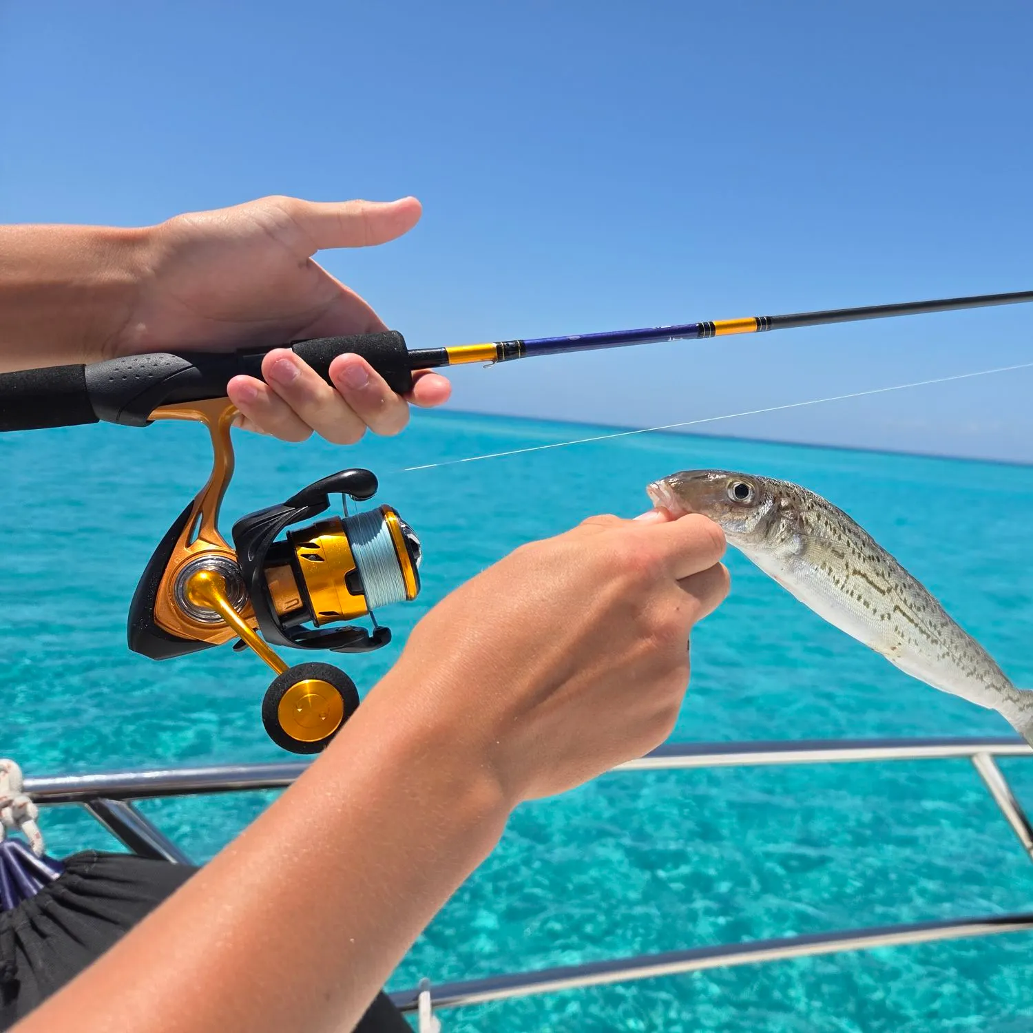 The most recent King George whiting catches on Fishbrain